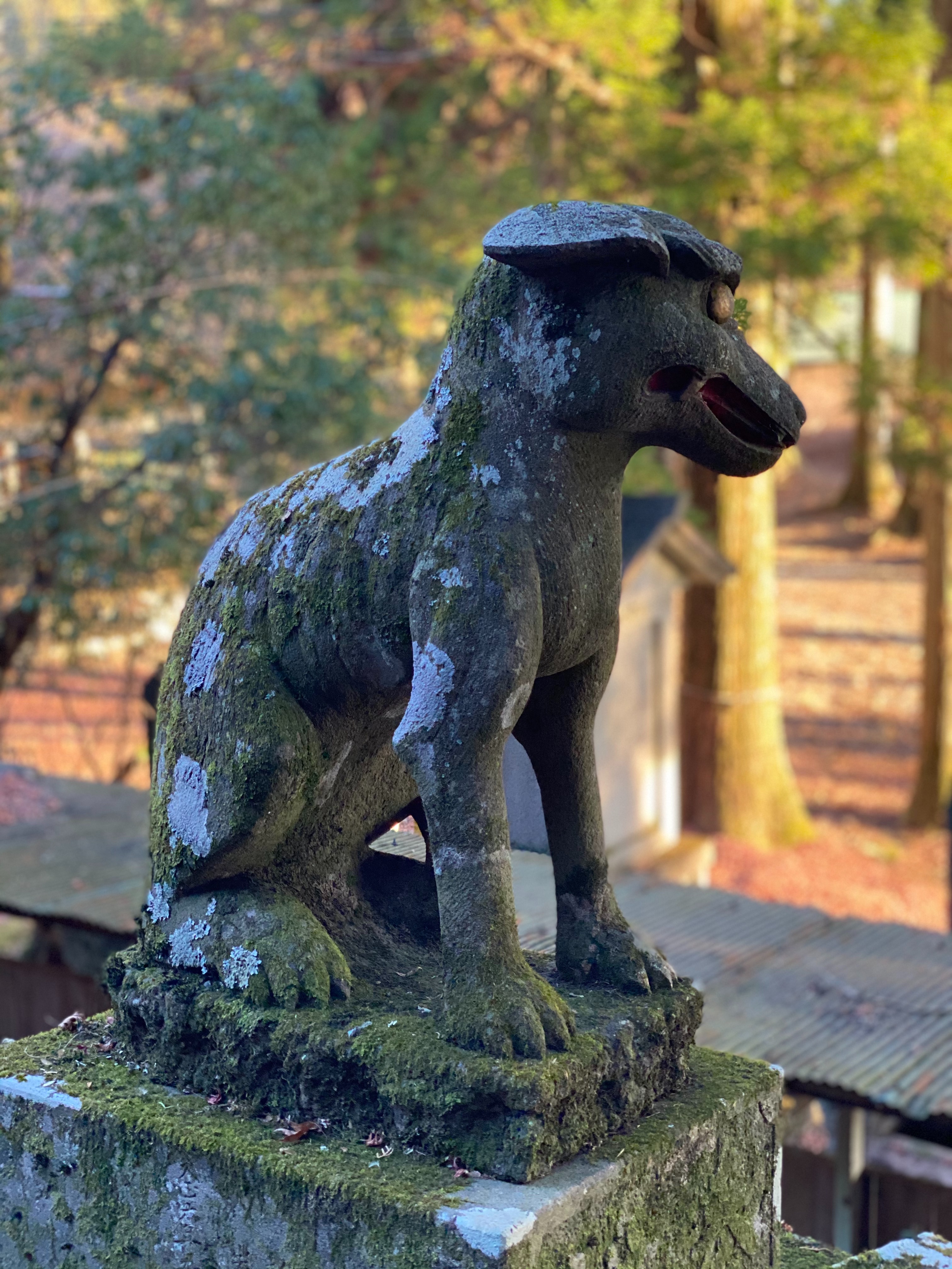 f:id:yoyorinrinyuyu:20201229144835j:image