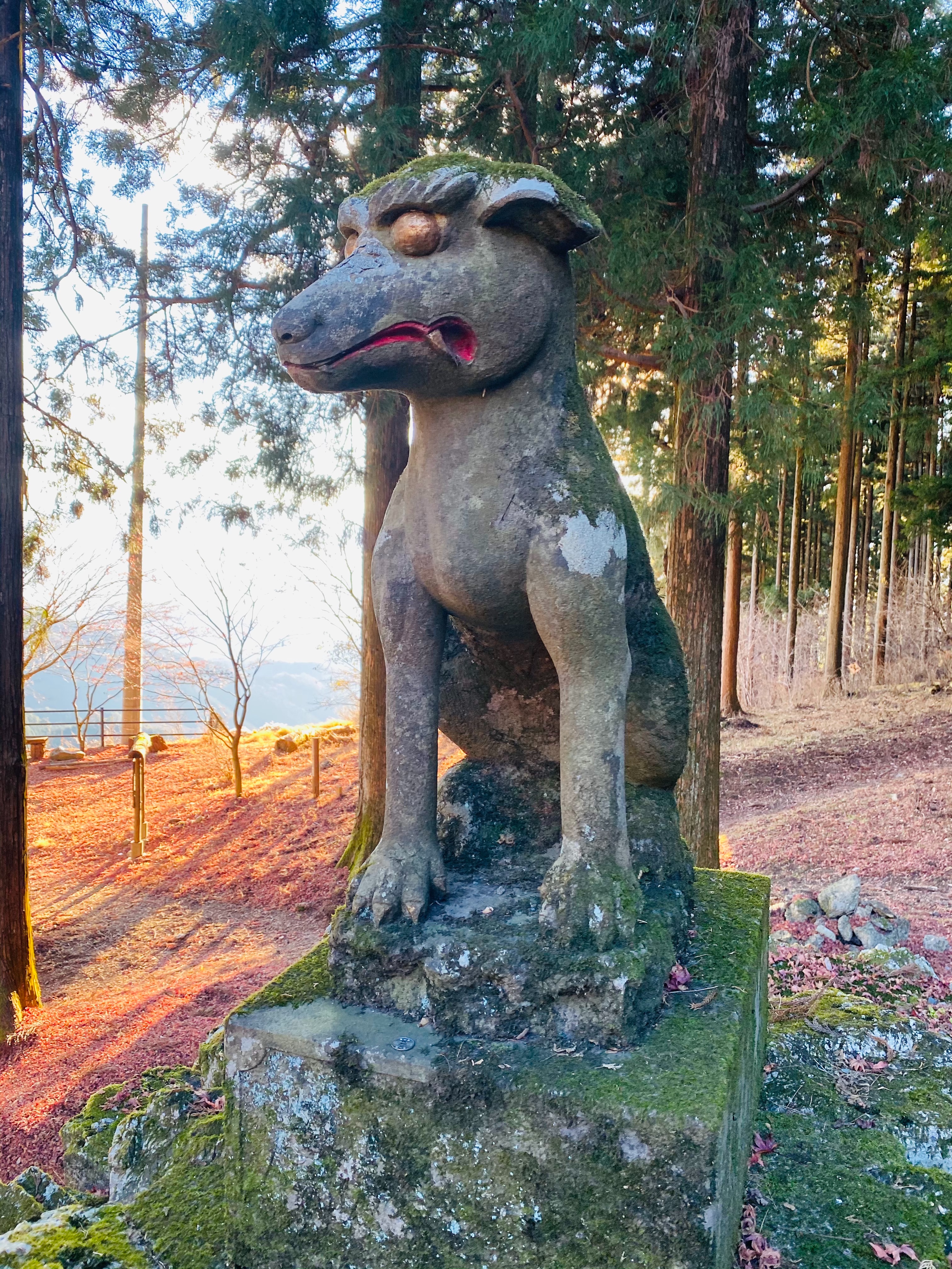 f:id:yoyorinrinyuyu:20201229144846j:image