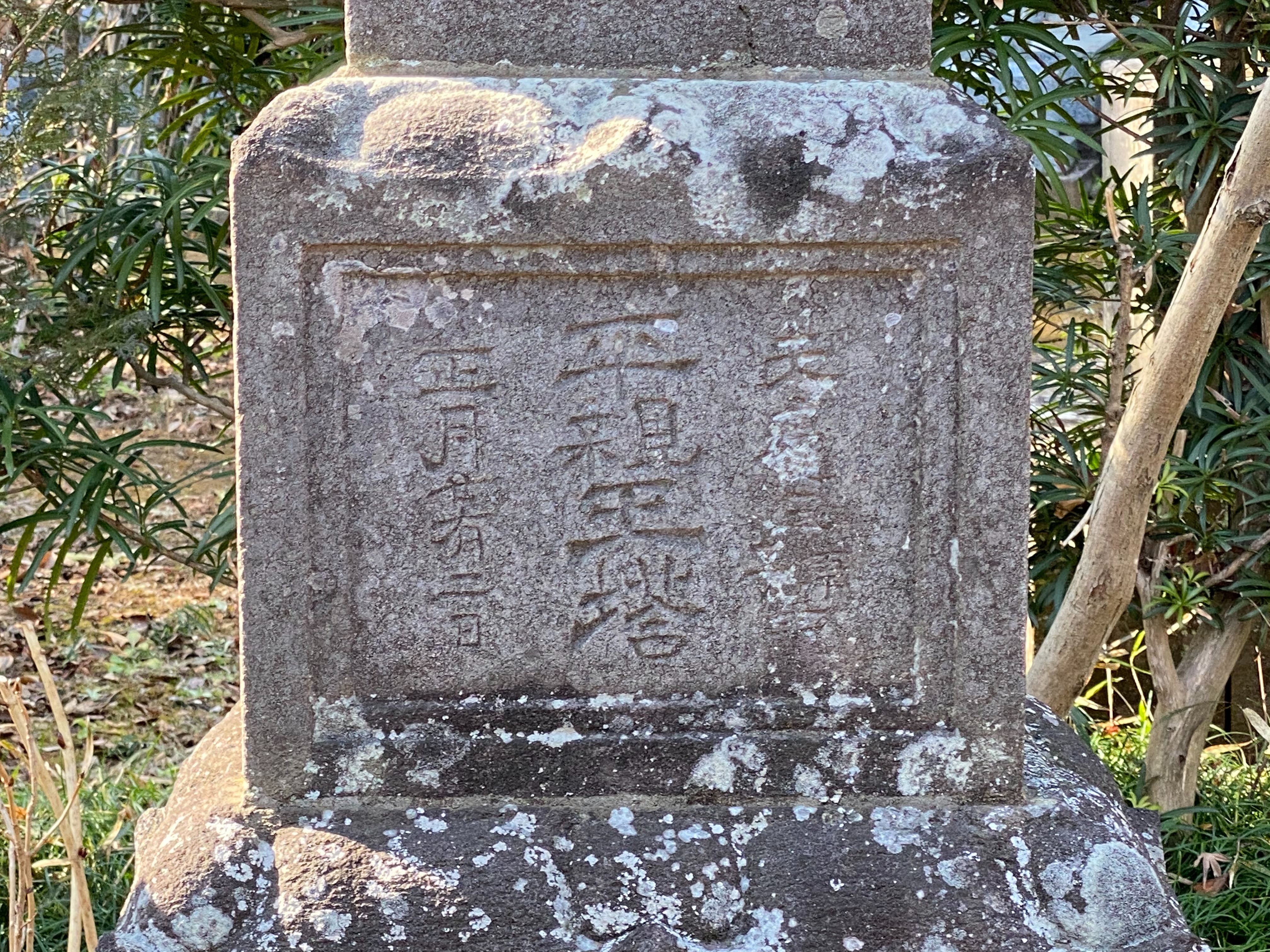 f:id:yoyorinrinyuyu:20210221225252j:image f:id:yoyorinrinyuyu:20210221225252j:image
