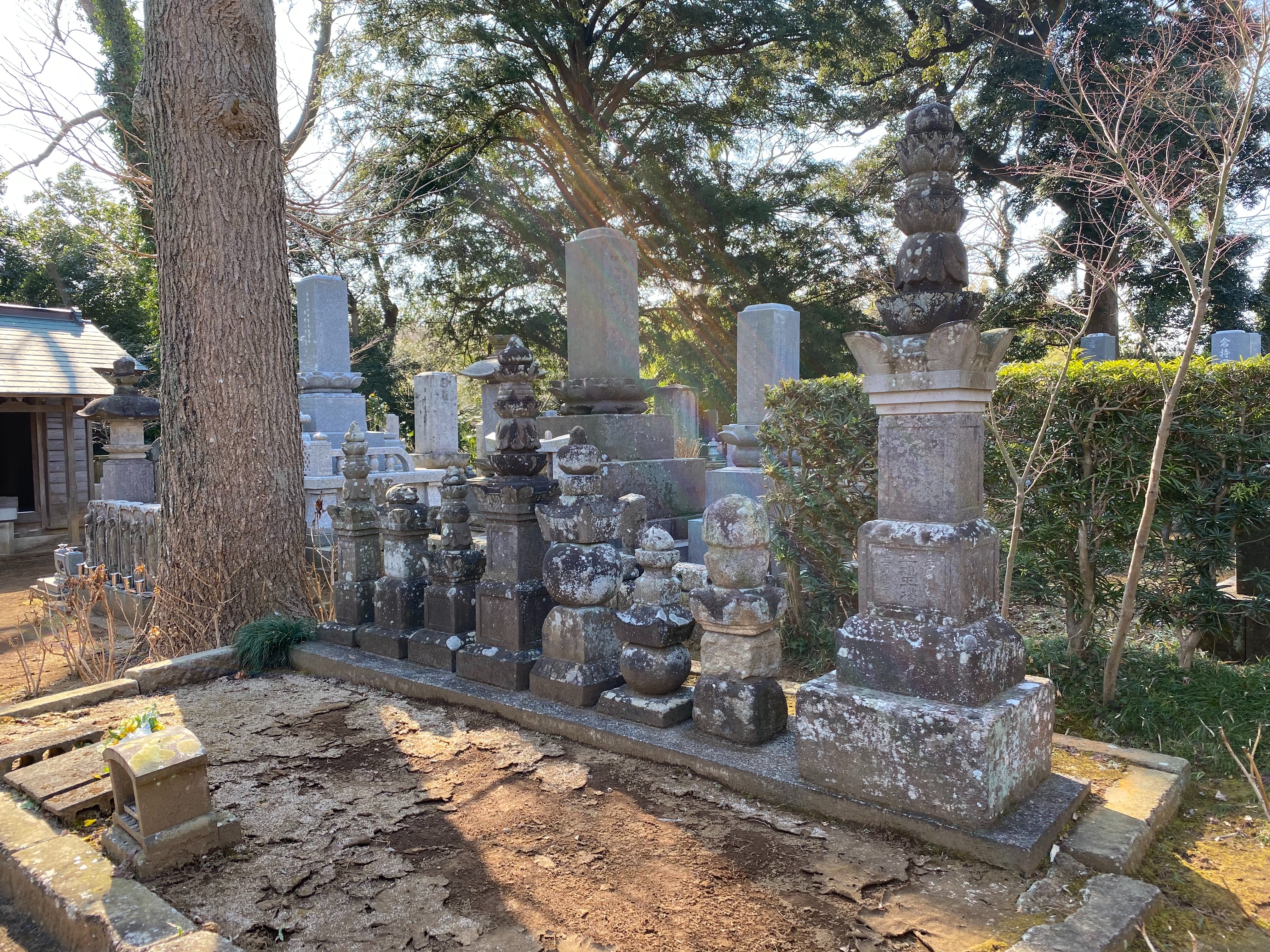 f:id:yoyorinrinyuyu:20210221225304j:image f:id:yoyorinrinyuyu:20210221225304j:image