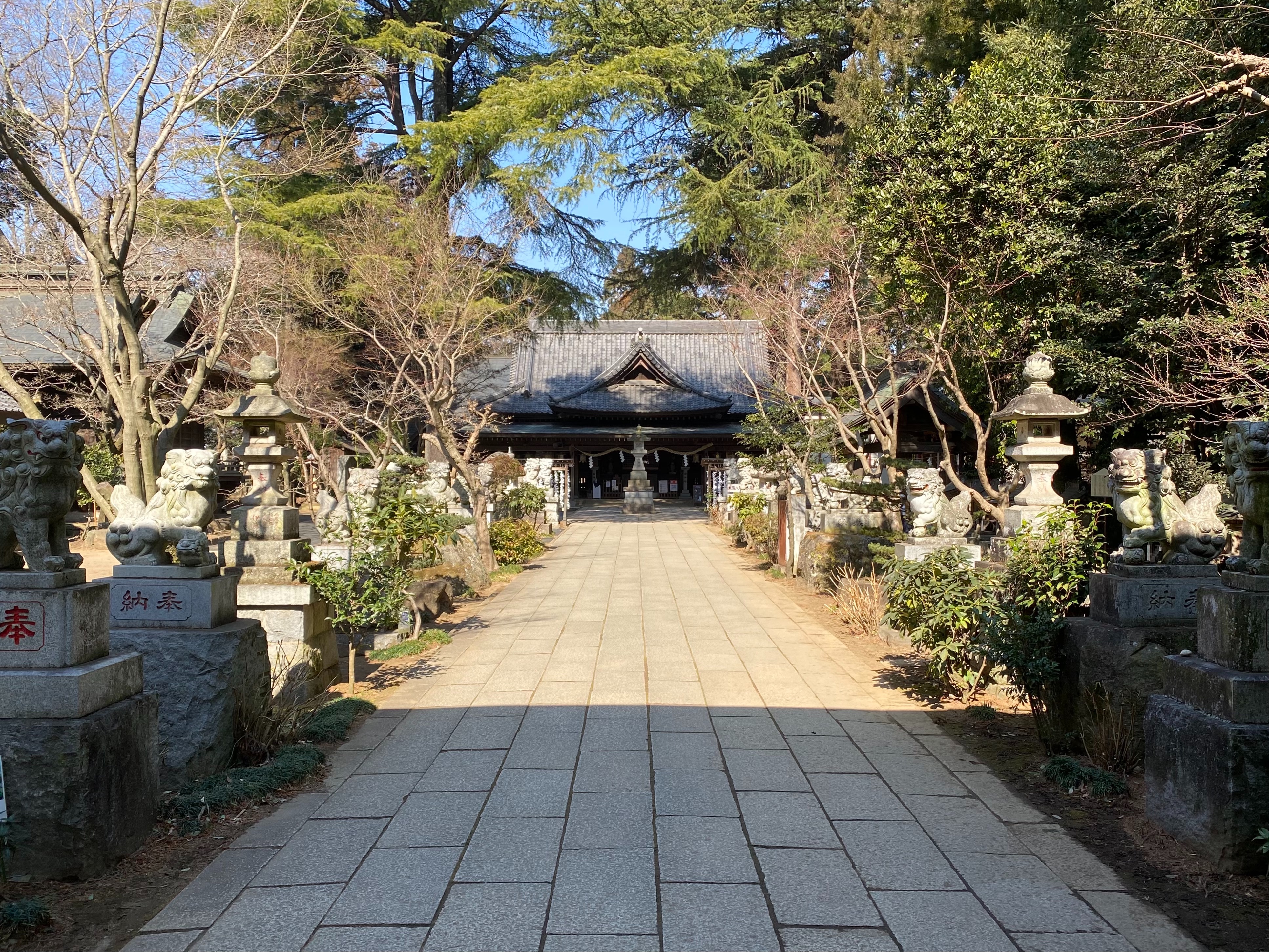 f:id:yoyorinrinyuyu:20210221225945j:image f:id:yoyorinrinyuyu:20210221225945j:image