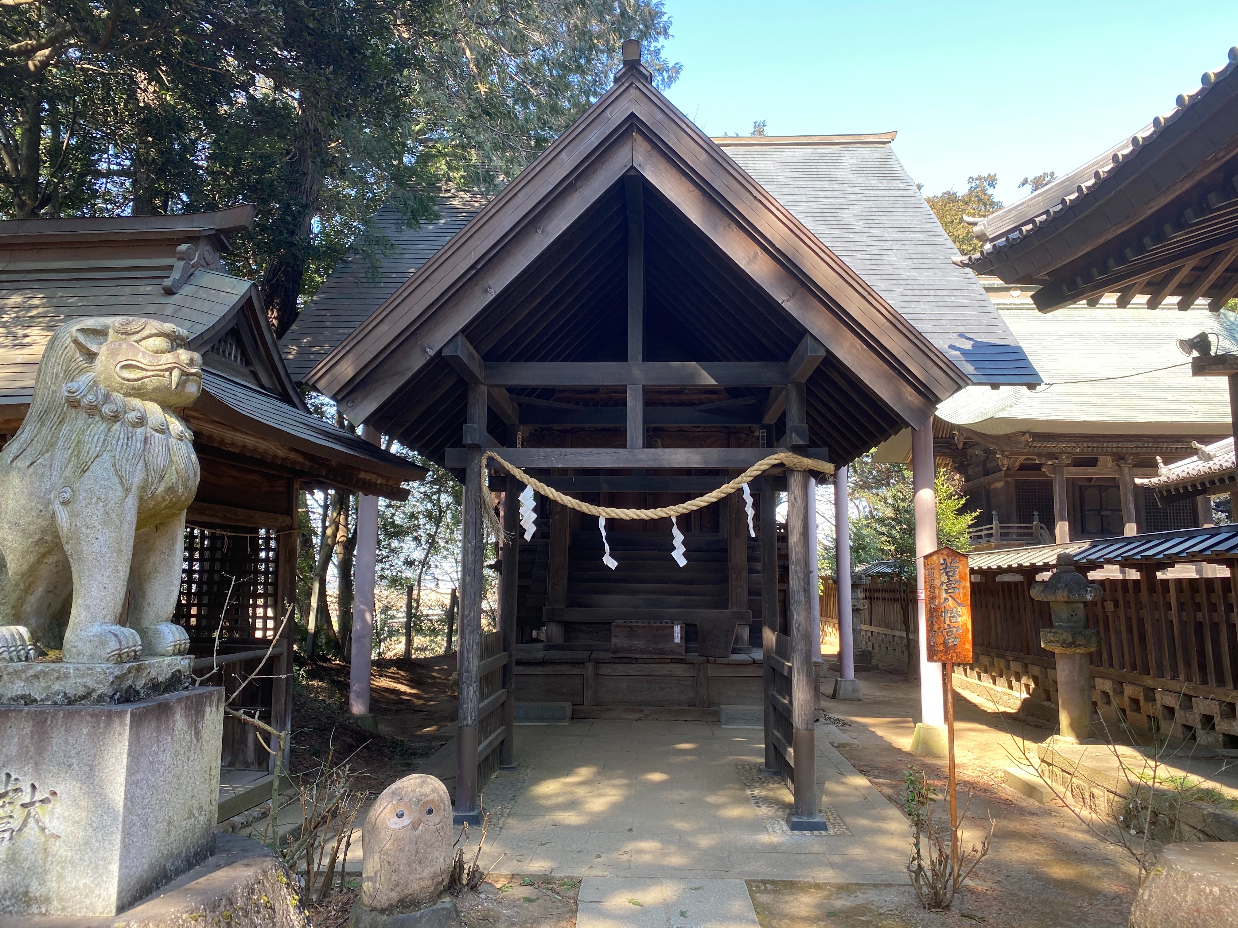 八幡宮の研究 質美八幡宮の鎮守の大杉と八幡ケヤキ