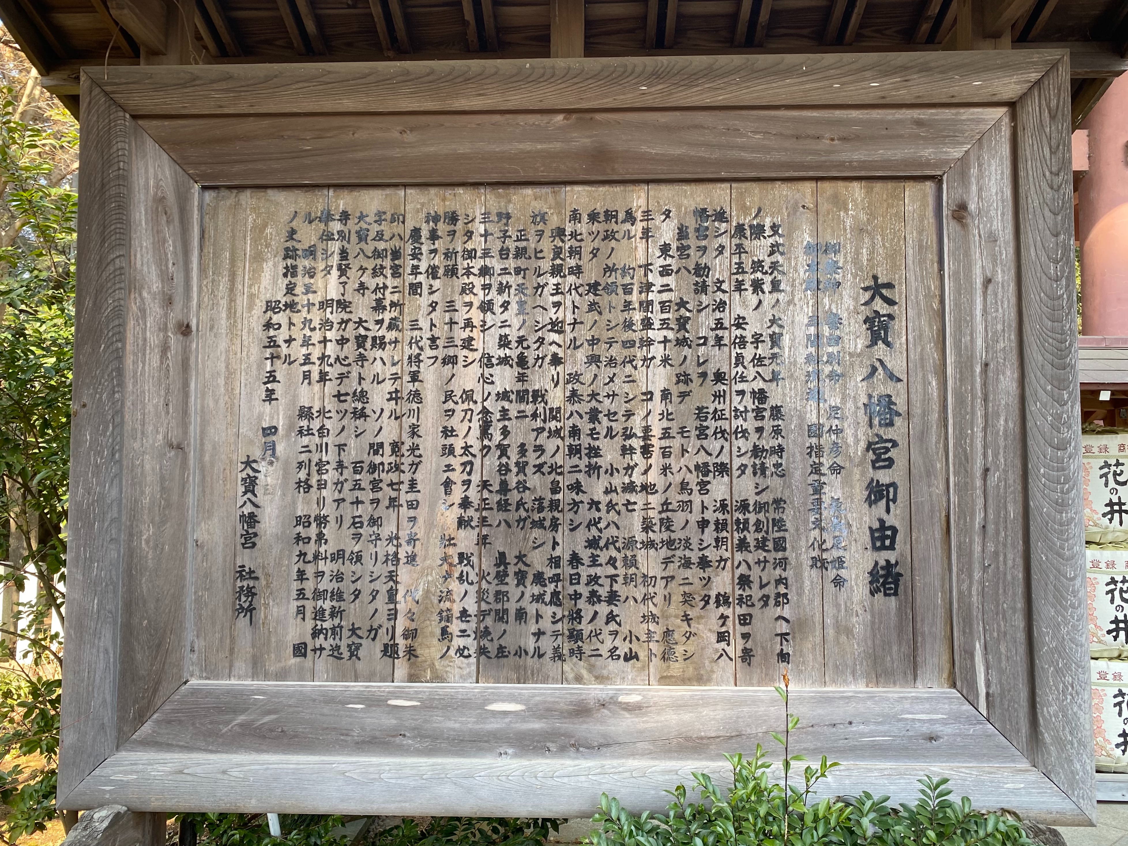 八幡宮の研究 質美八幡宮の鎮守の大杉と八幡ケヤキ