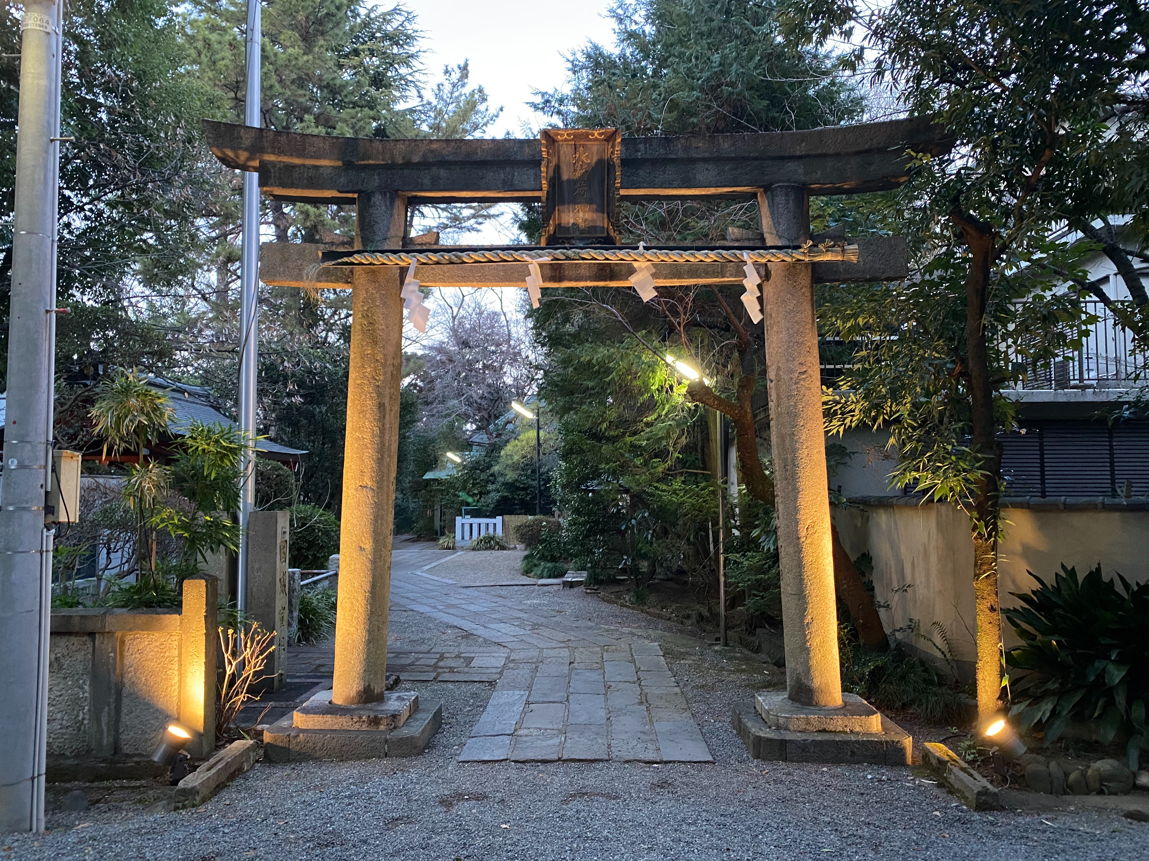 f:id:yoyorinrinyuyu:20210223080316j:image