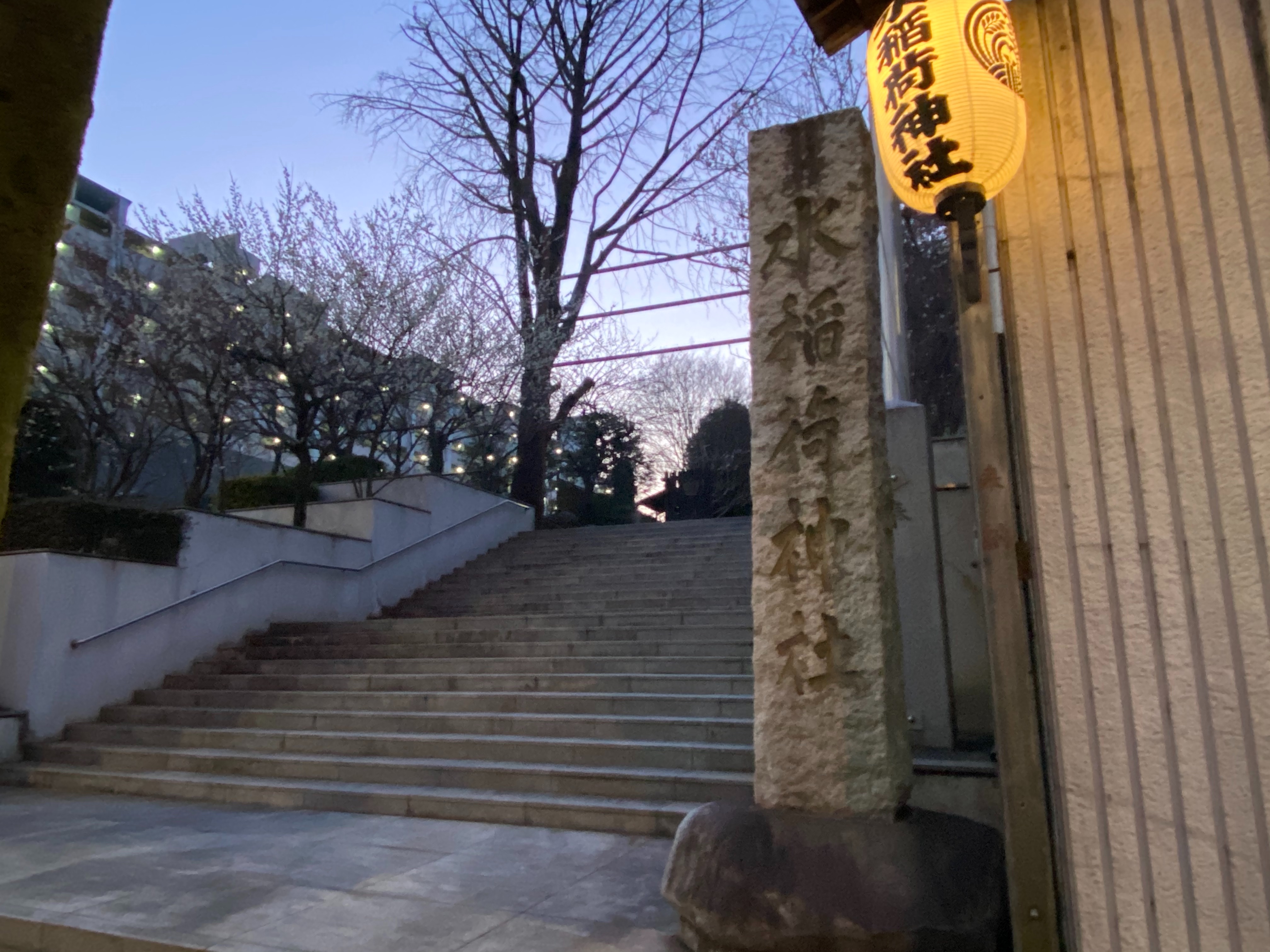 f:id:yoyorinrinyuyu:20210223080336j:image