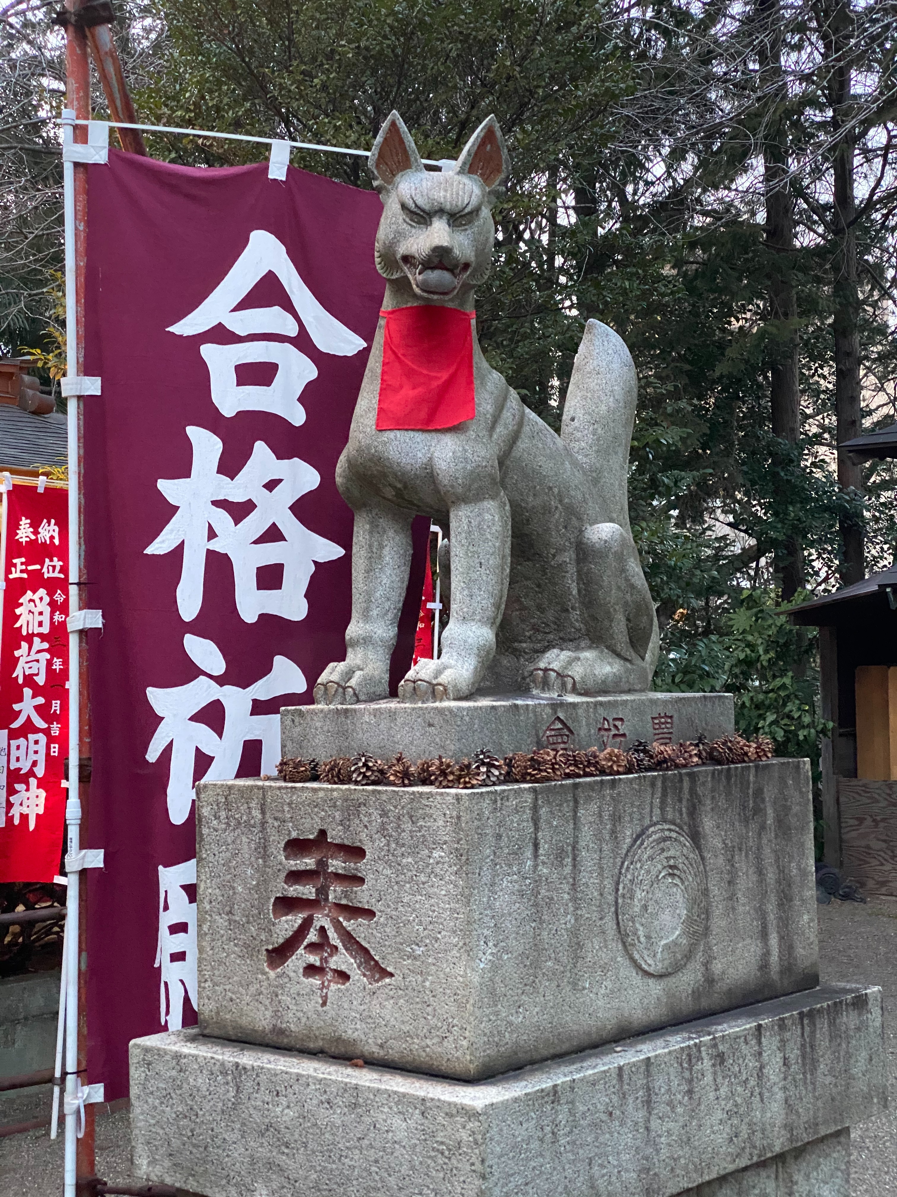 f:id:yoyorinrinyuyu:20210223080345j:image