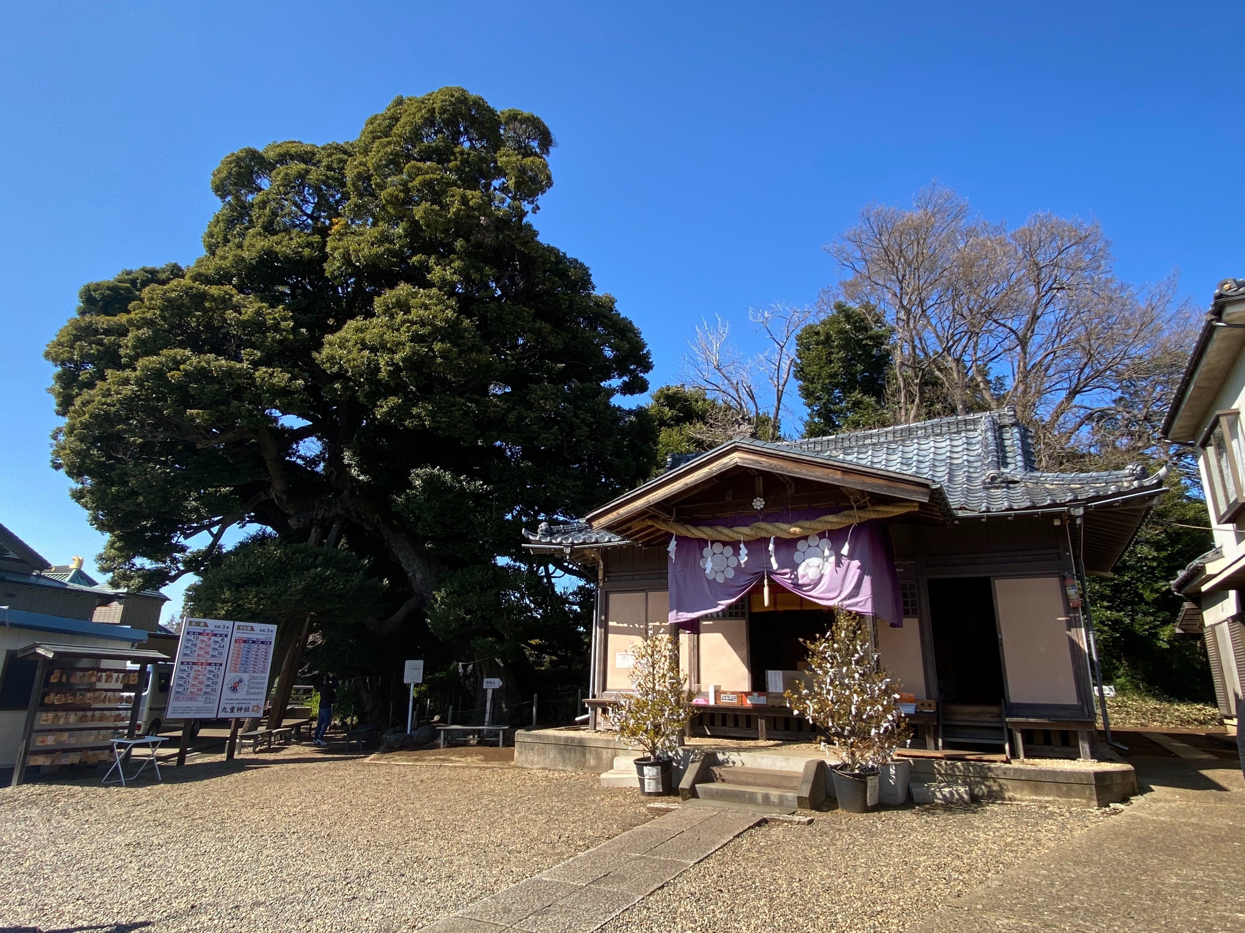 f:id:yoyorinrinyuyu:20210315095010j:image