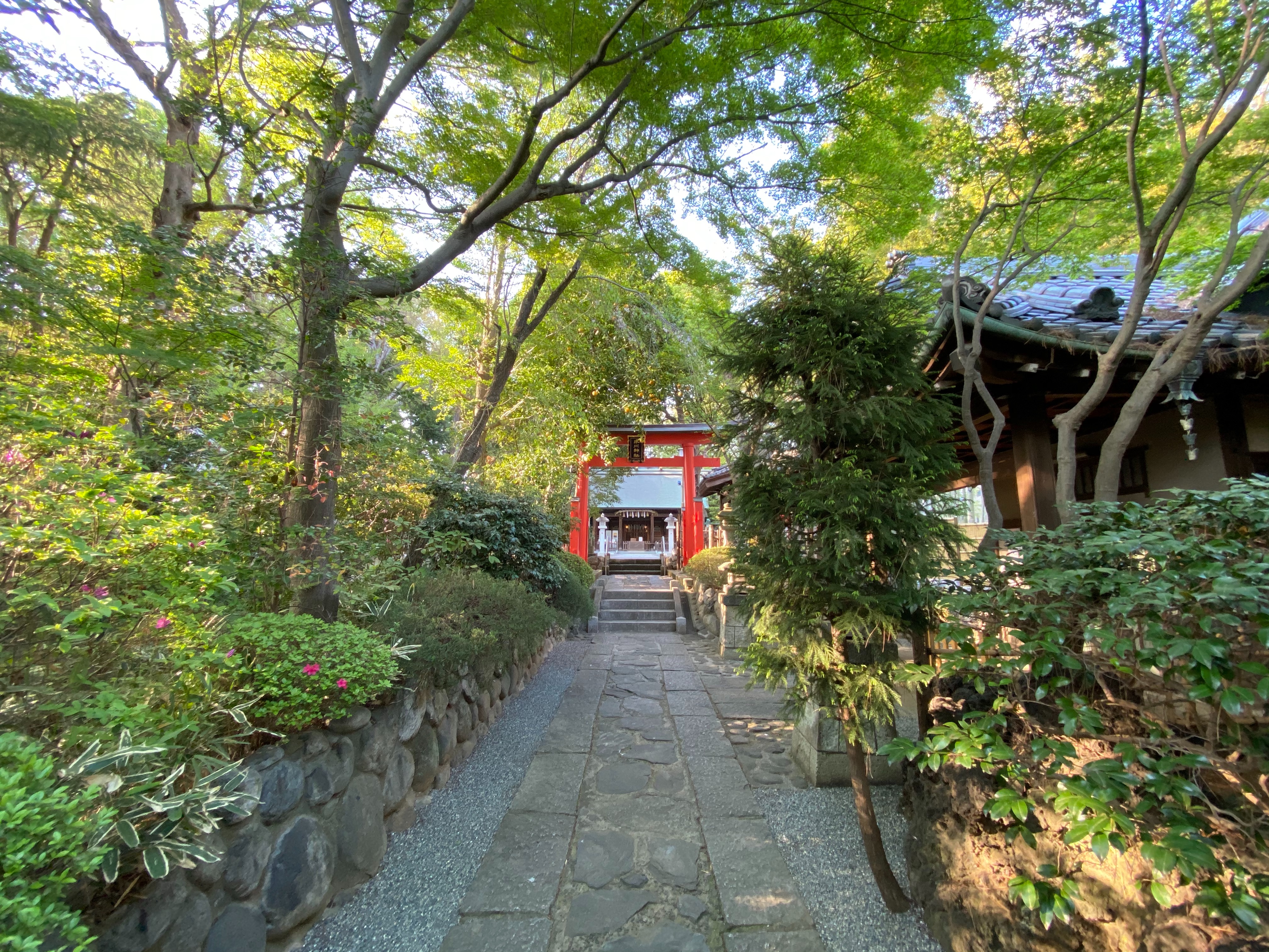 f:id:yoyorinrinyuyu:20210411182156j:image