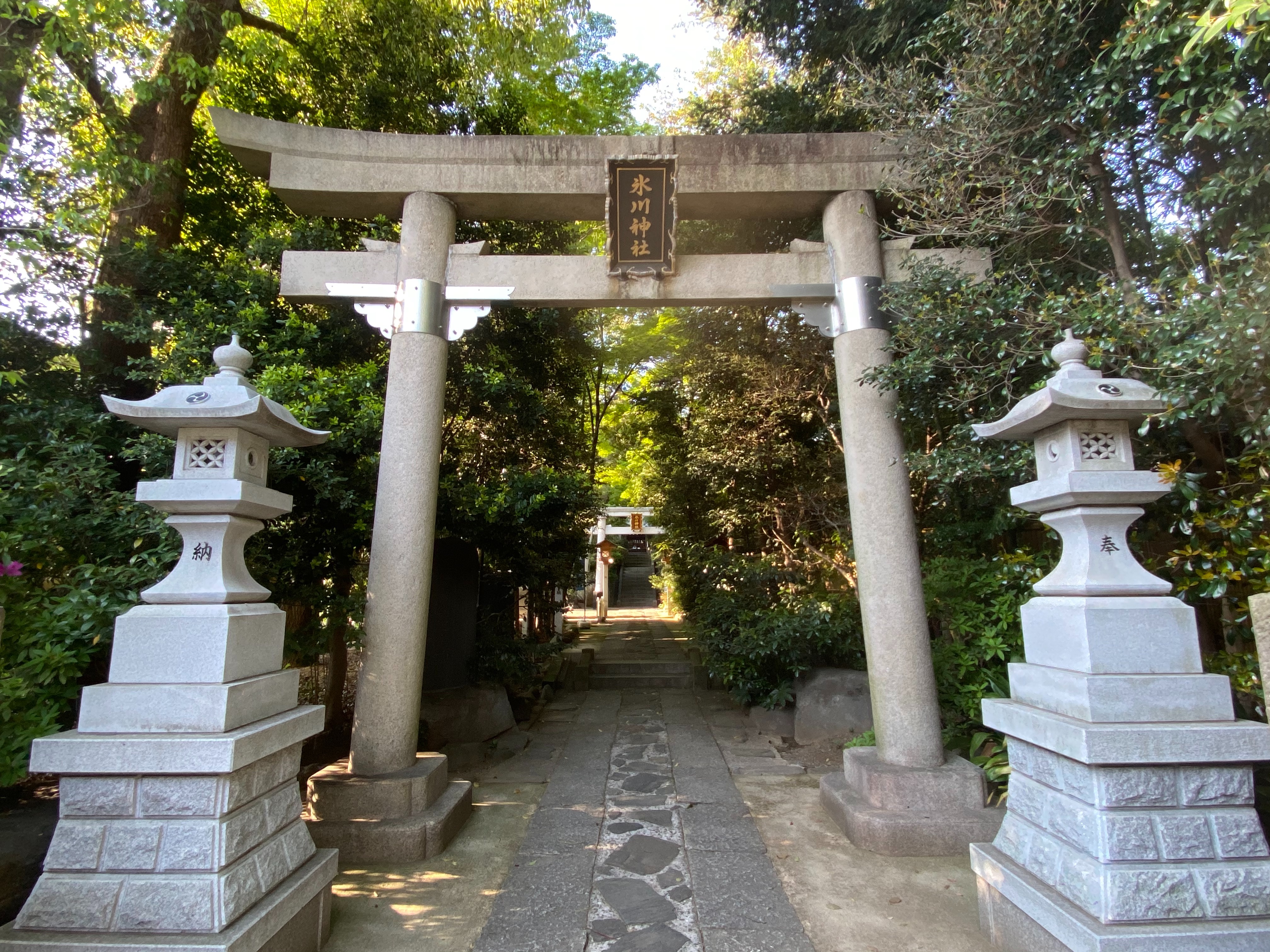 f:id:yoyorinrinyuyu:20210411182244j:image