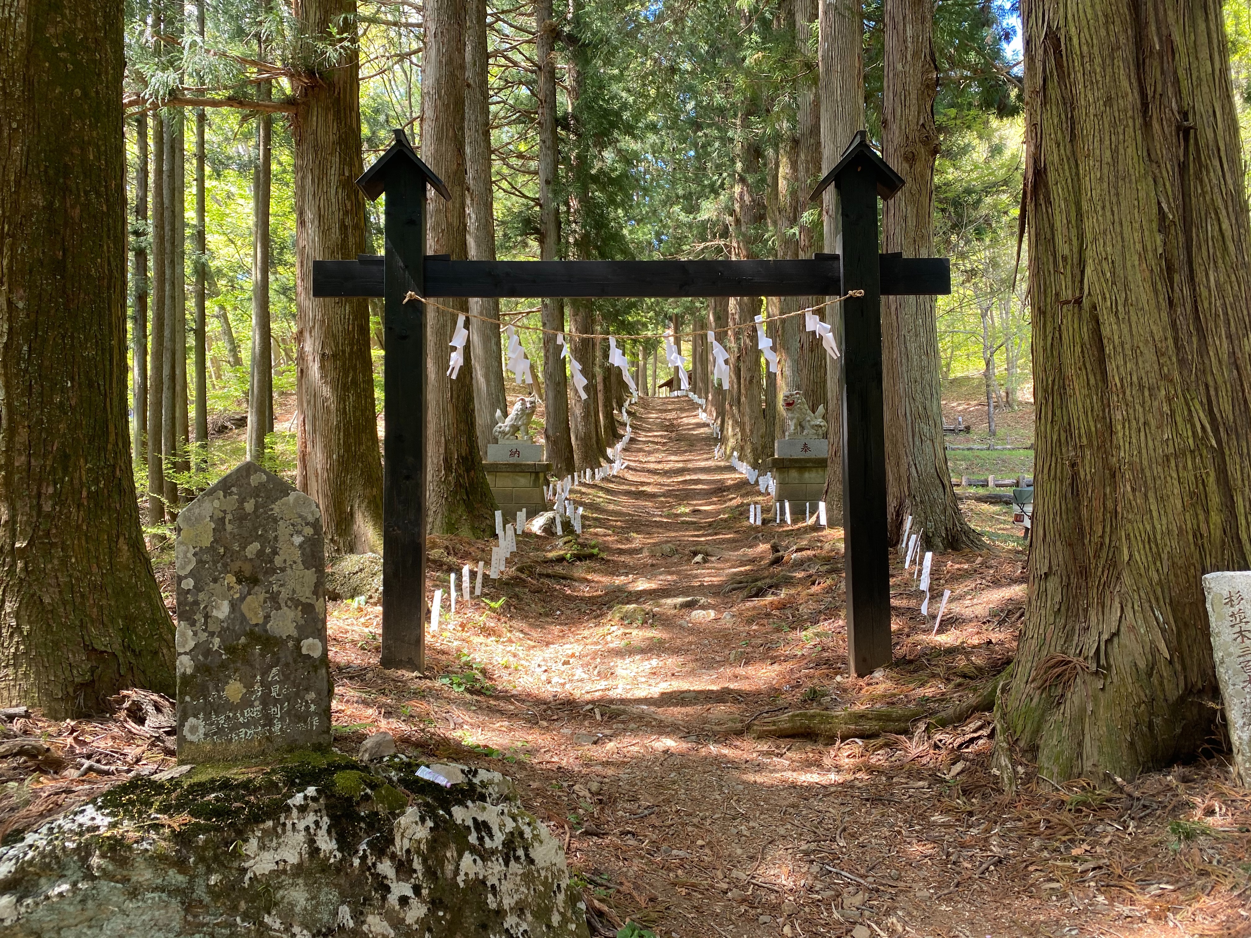 f:id:yoyorinrinyuyu:20210503204306j:image