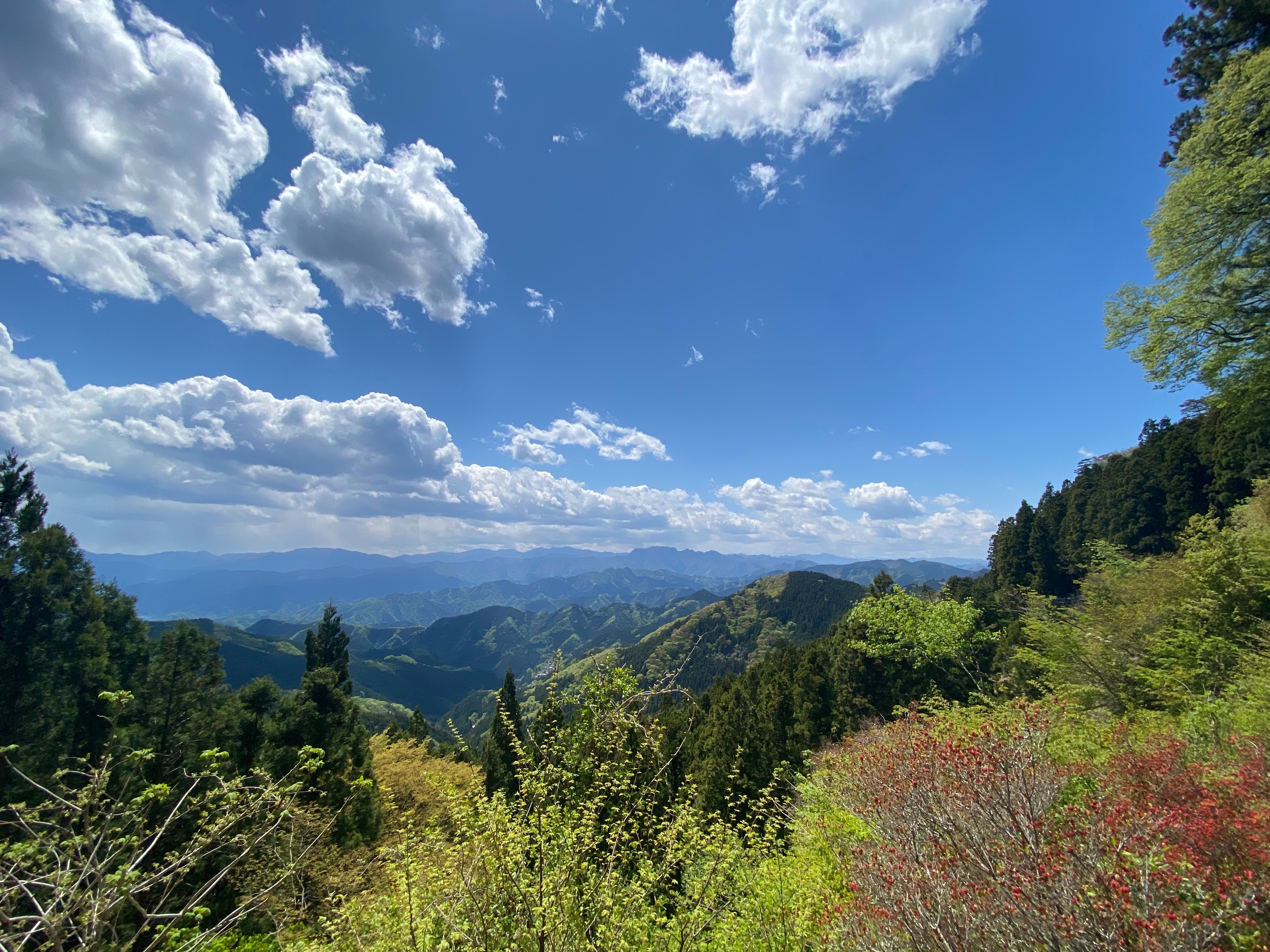 f:id:yoyorinrinyuyu:20210503205127j:image