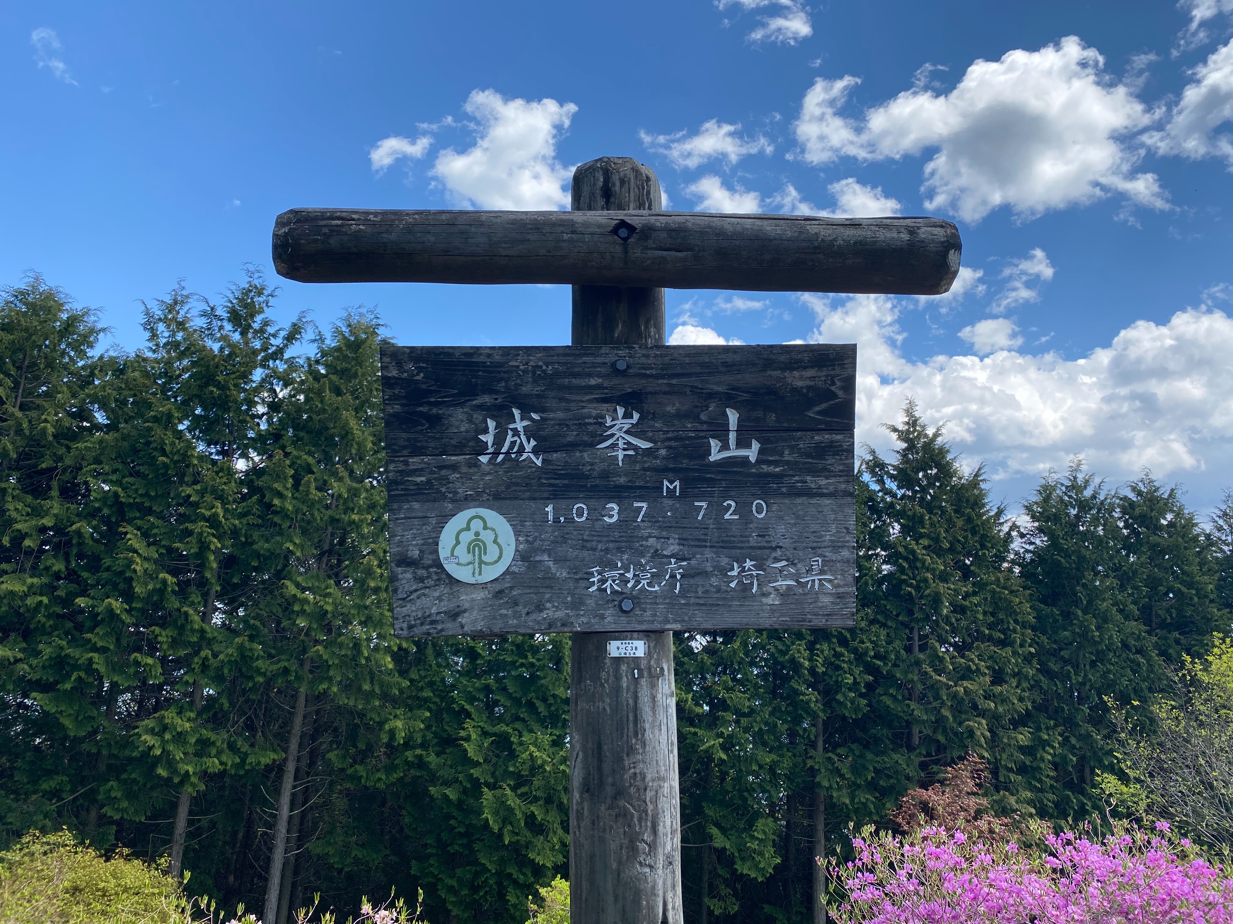 f:id:yoyorinrinyuyu:20210503205437j:image