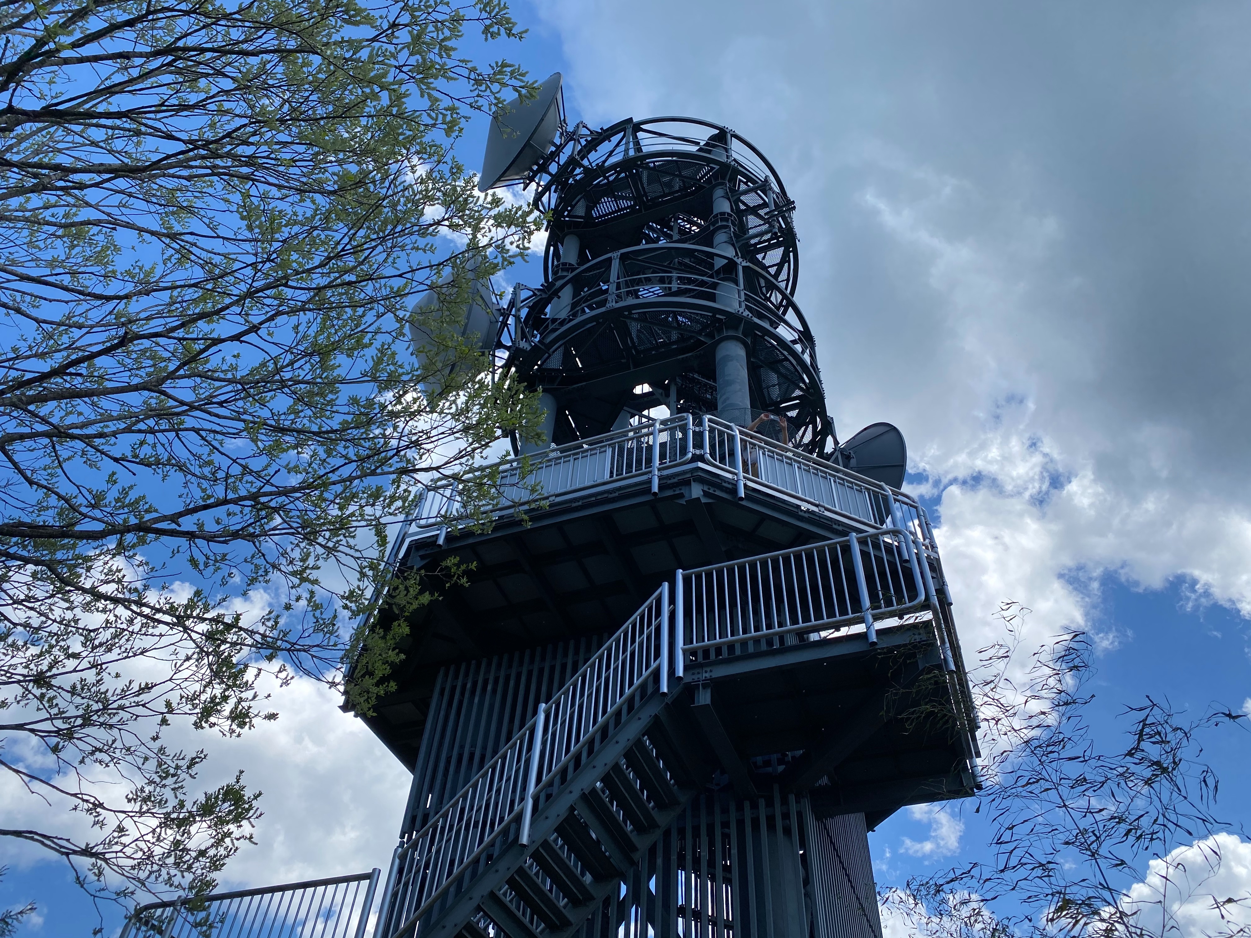 f:id:yoyorinrinyuyu:20210503205458j:image