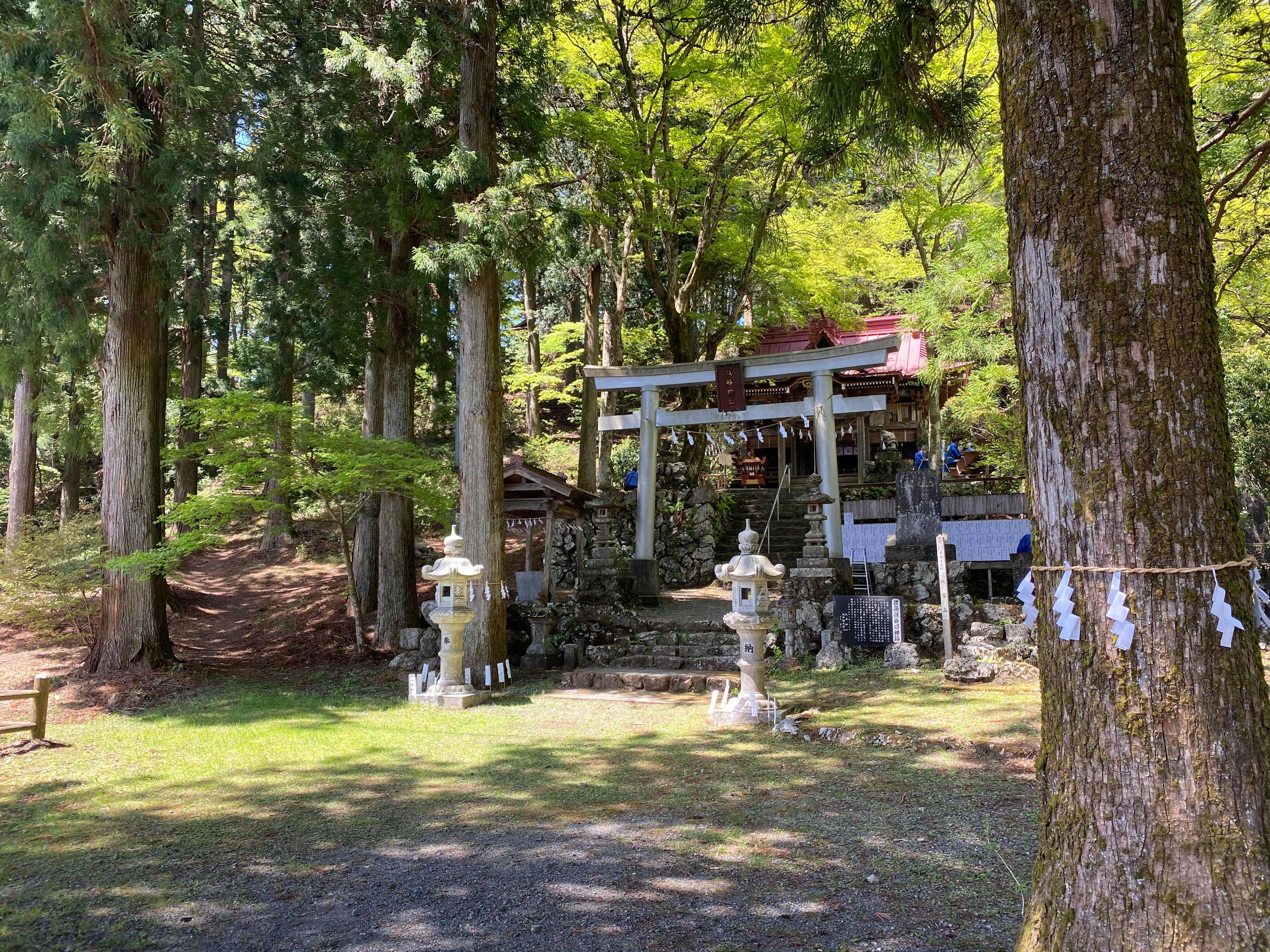 f:id:yoyorinrinyuyu:20210503205942j:image