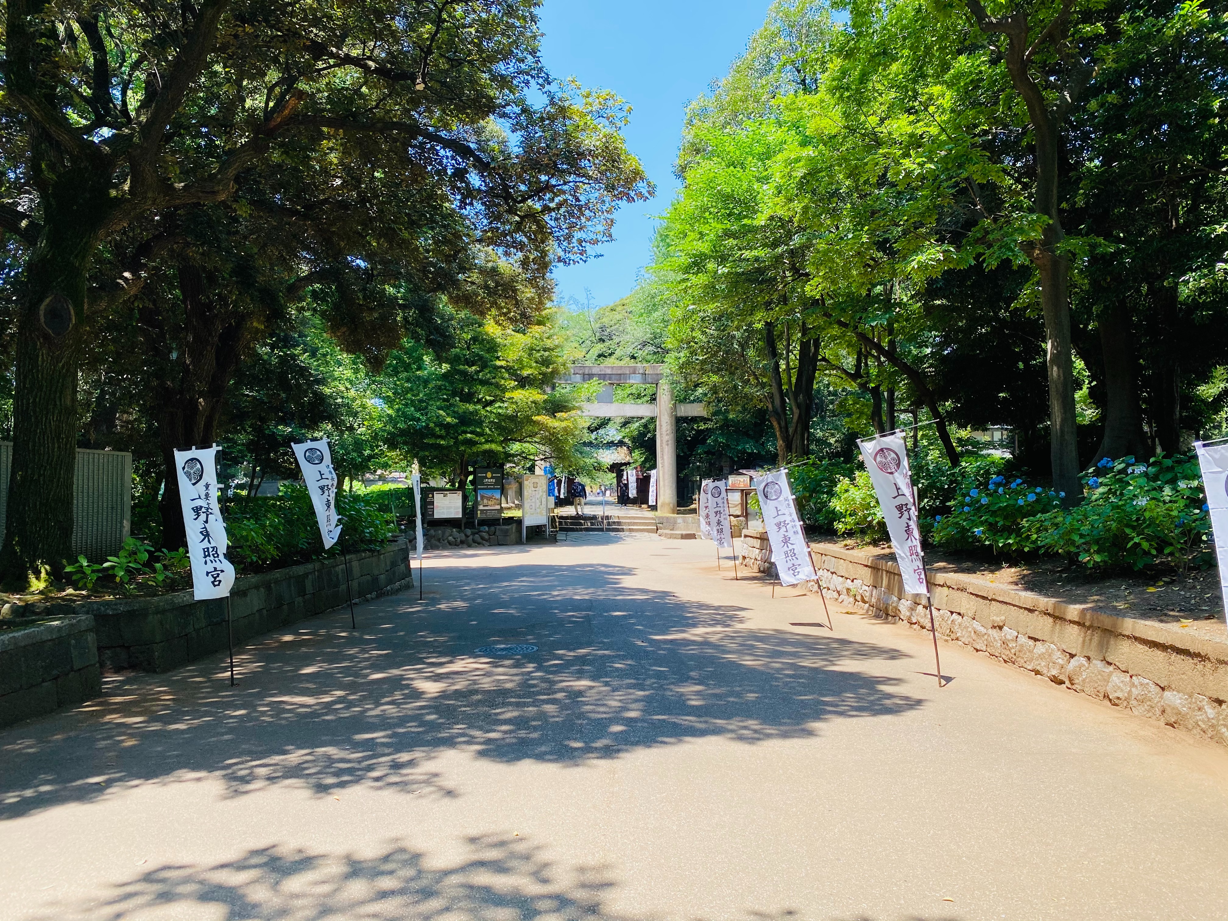 f:id:yoyorinrinyuyu:20210526091602j:image