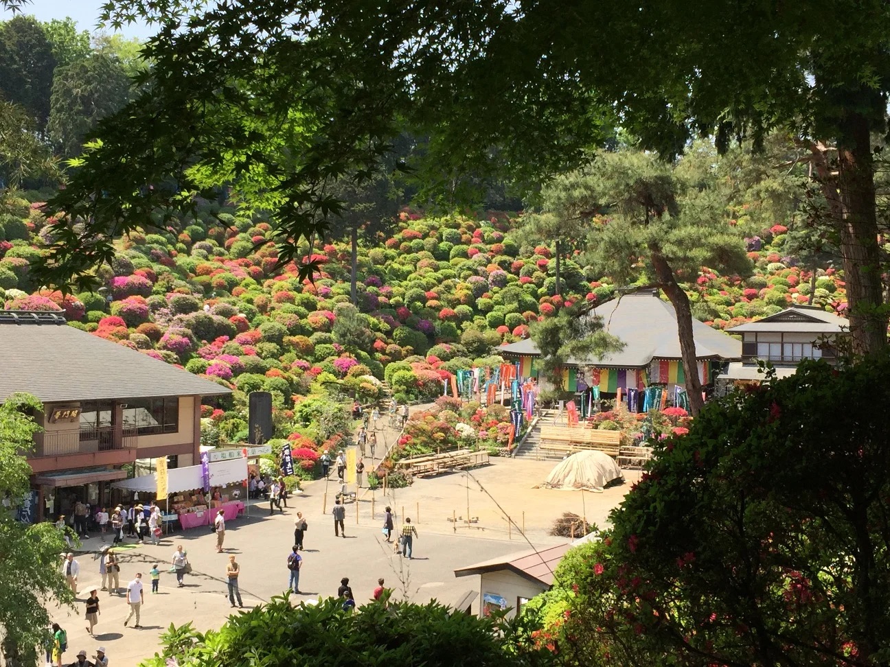 f:id:yoyorinrinyuyu:20210905071305j:image