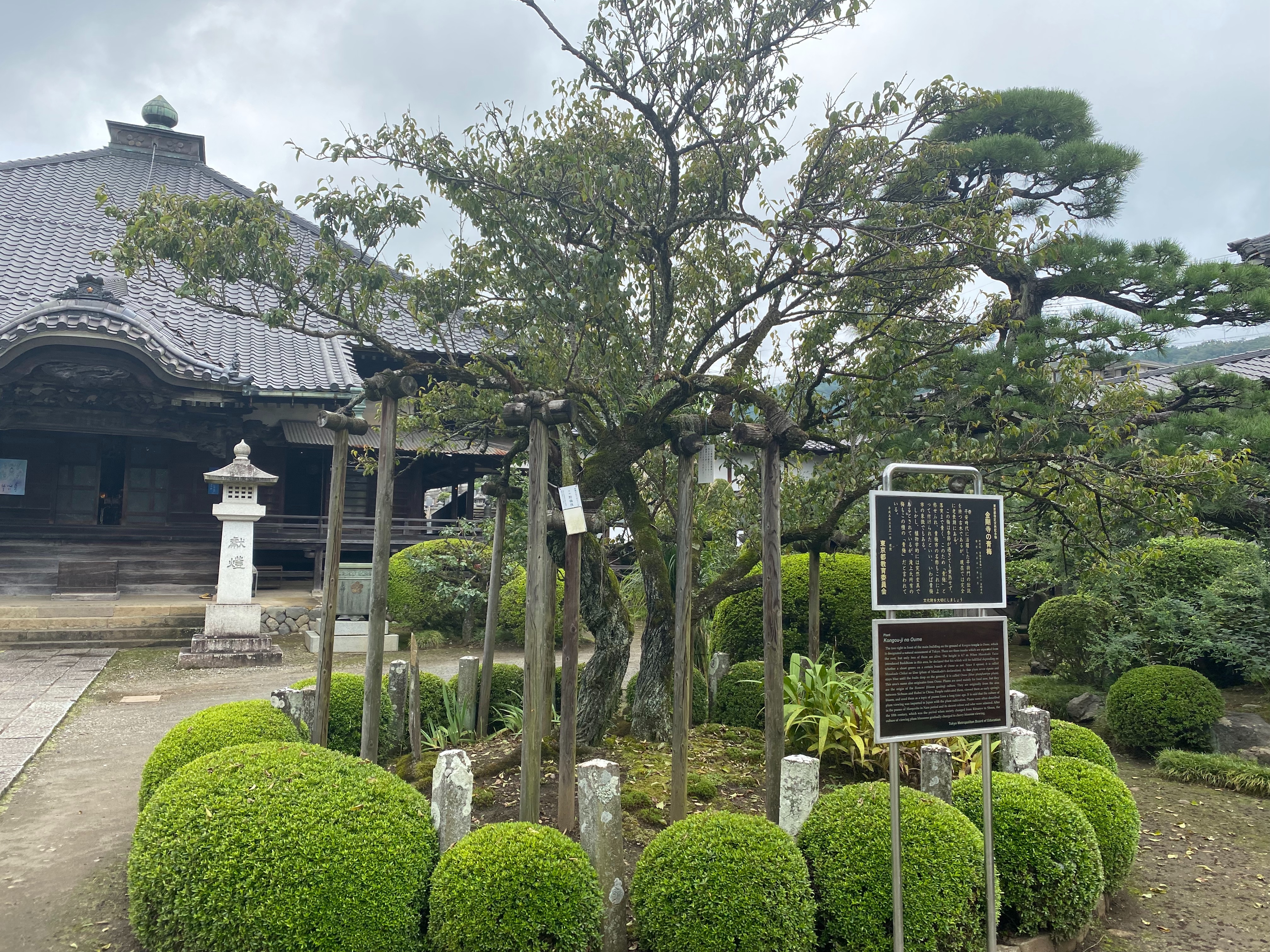 f:id:yoyorinrinyuyu:20210912033914j:image