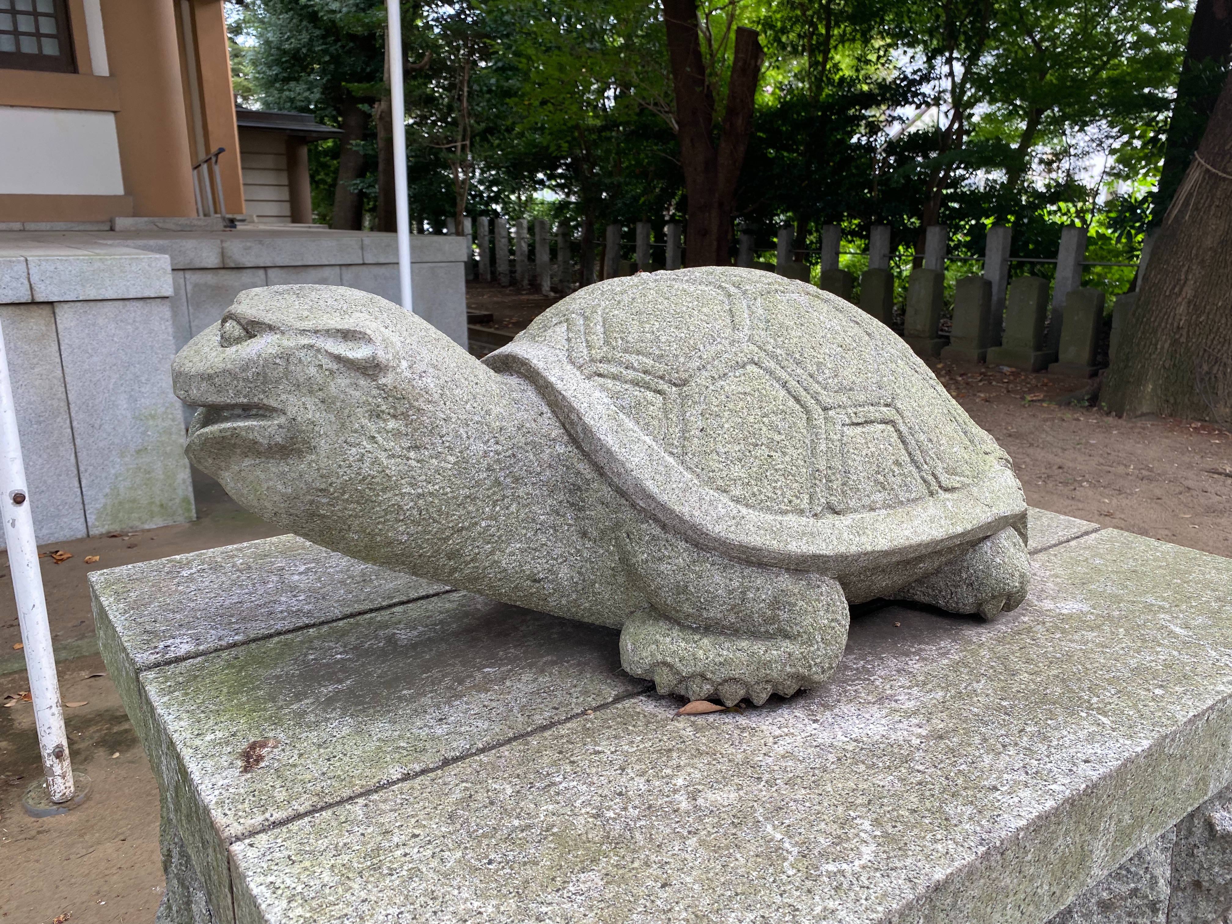 f:id:yoyorinrinyuyu:20210926092004j:image