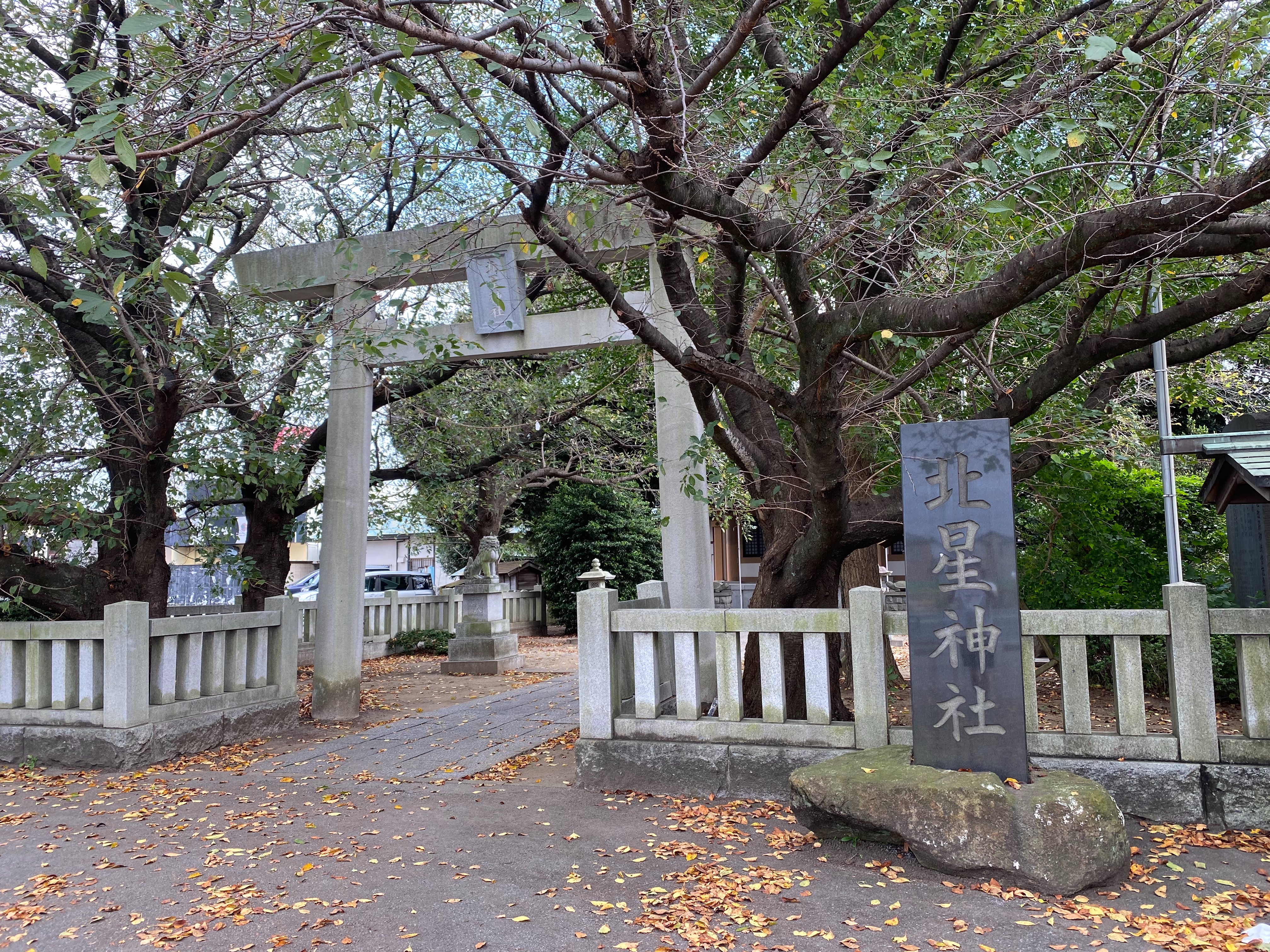 f:id:yoyorinrinyuyu:20210926092058j:image