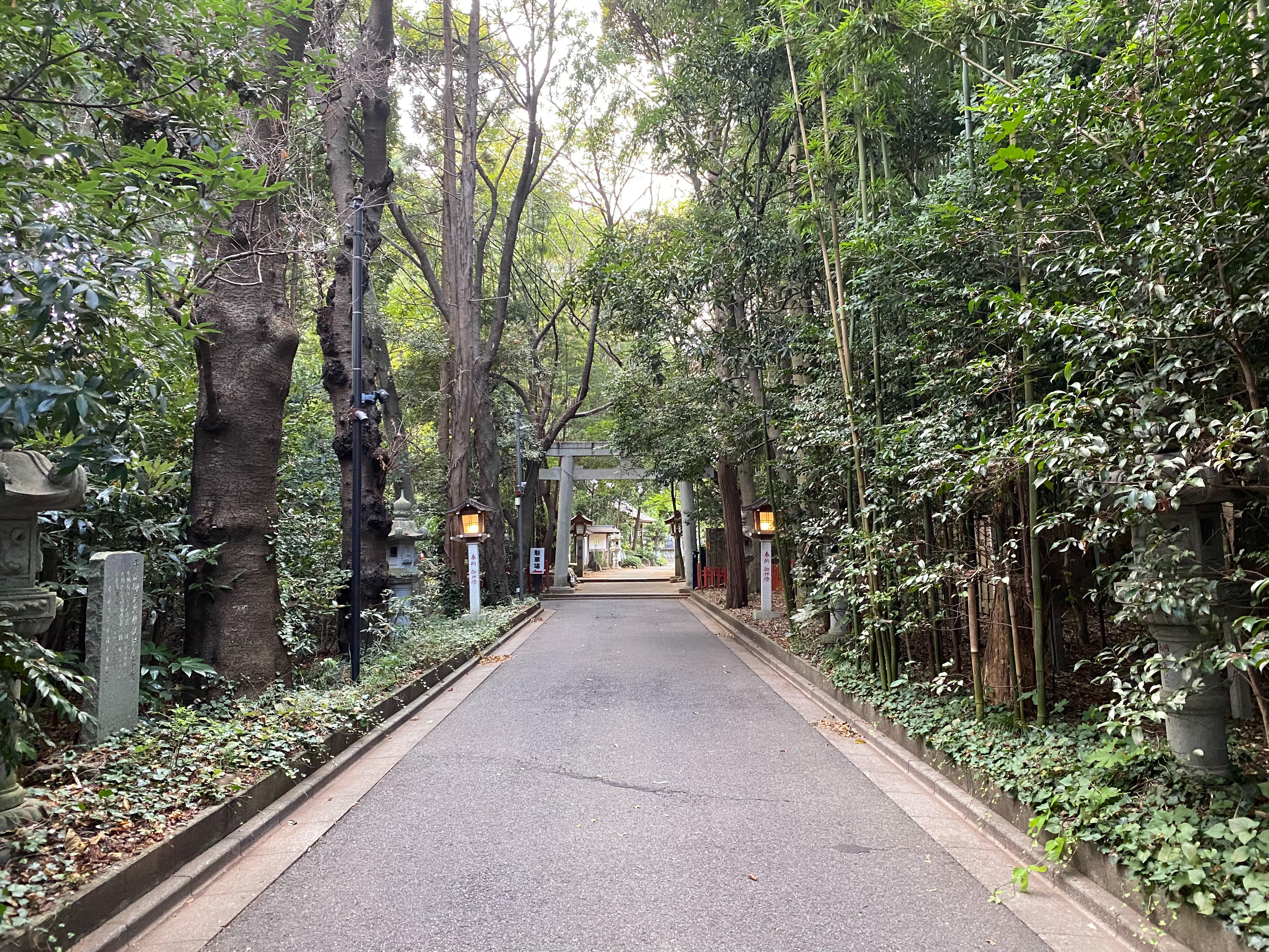 f:id:yoyorinrinyuyu:20210926093633j:image