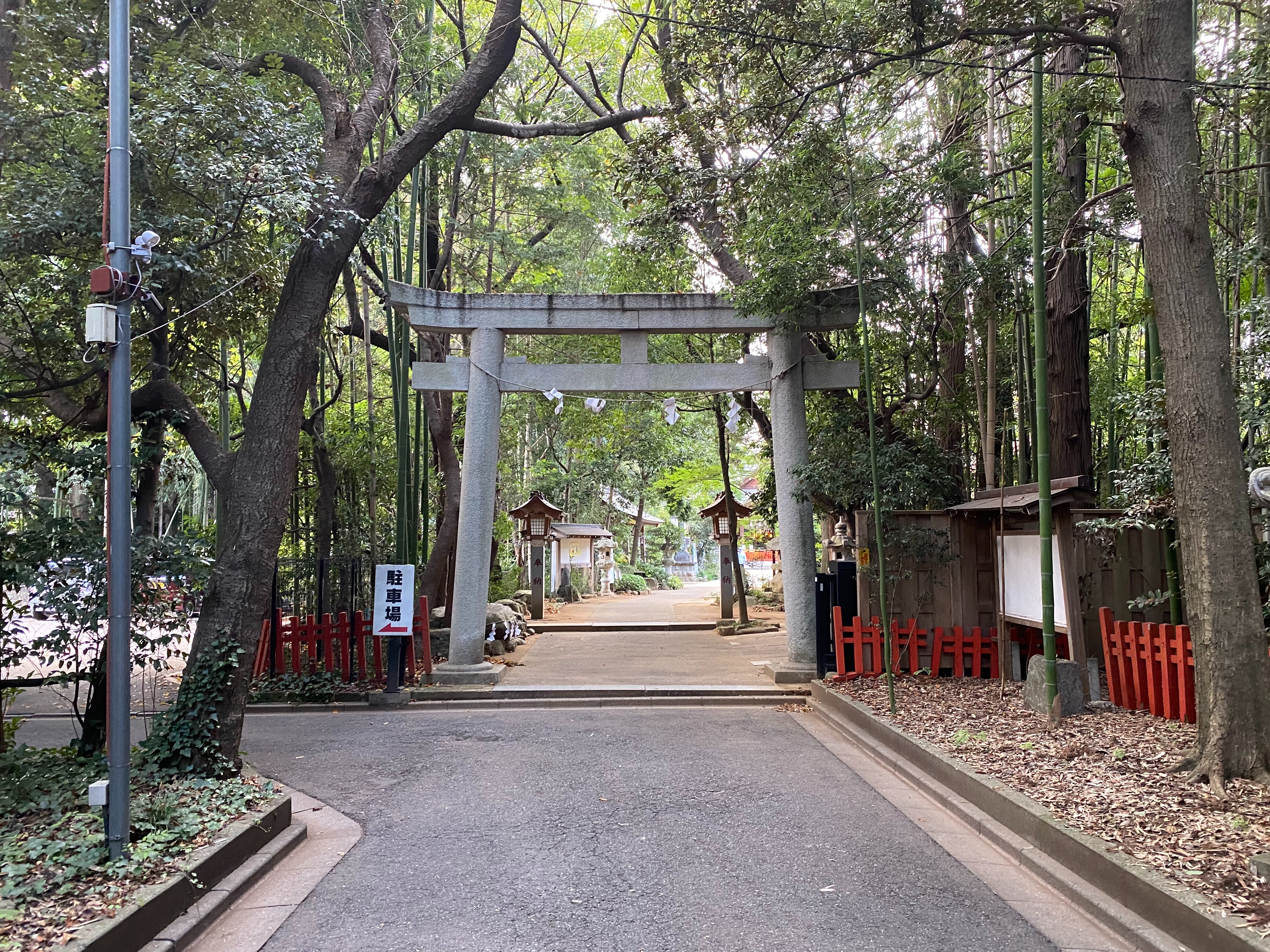 f:id:yoyorinrinyuyu:20210926093647j:image