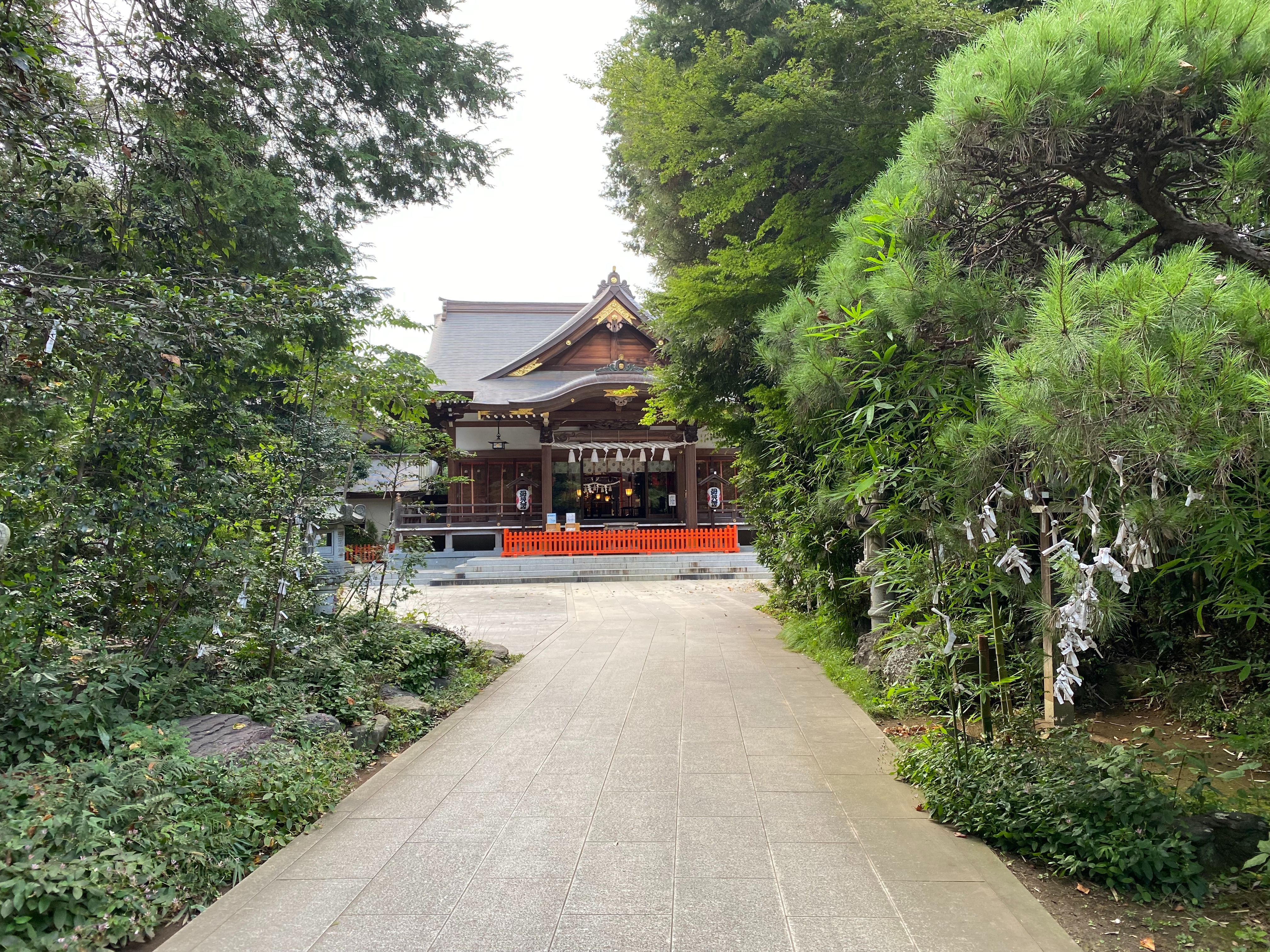 f:id:yoyorinrinyuyu:20210926093710j:image