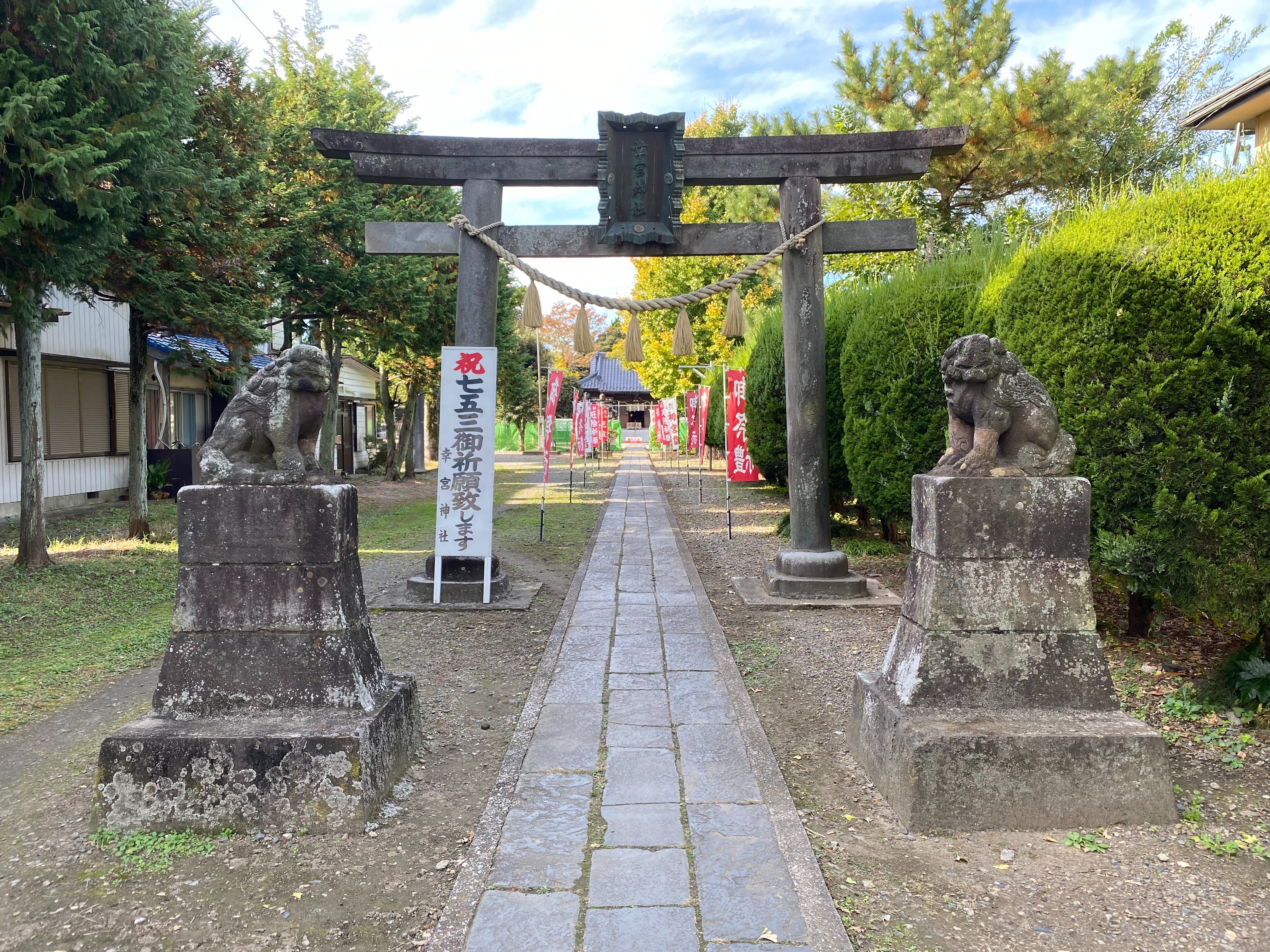 f:id:yoyorinrinyuyu:20211107235200j:image