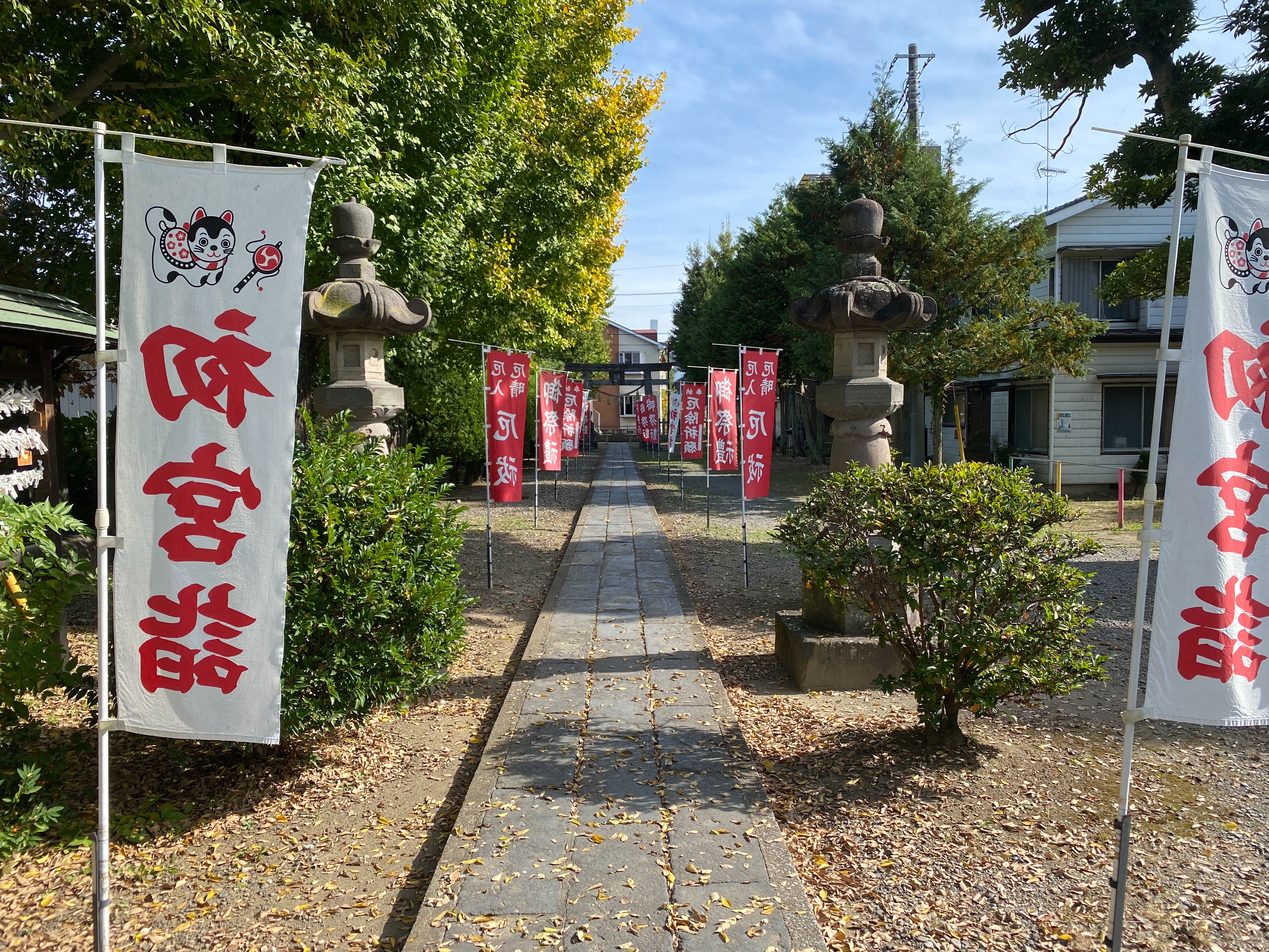 f:id:yoyorinrinyuyu:20211107235229j:image