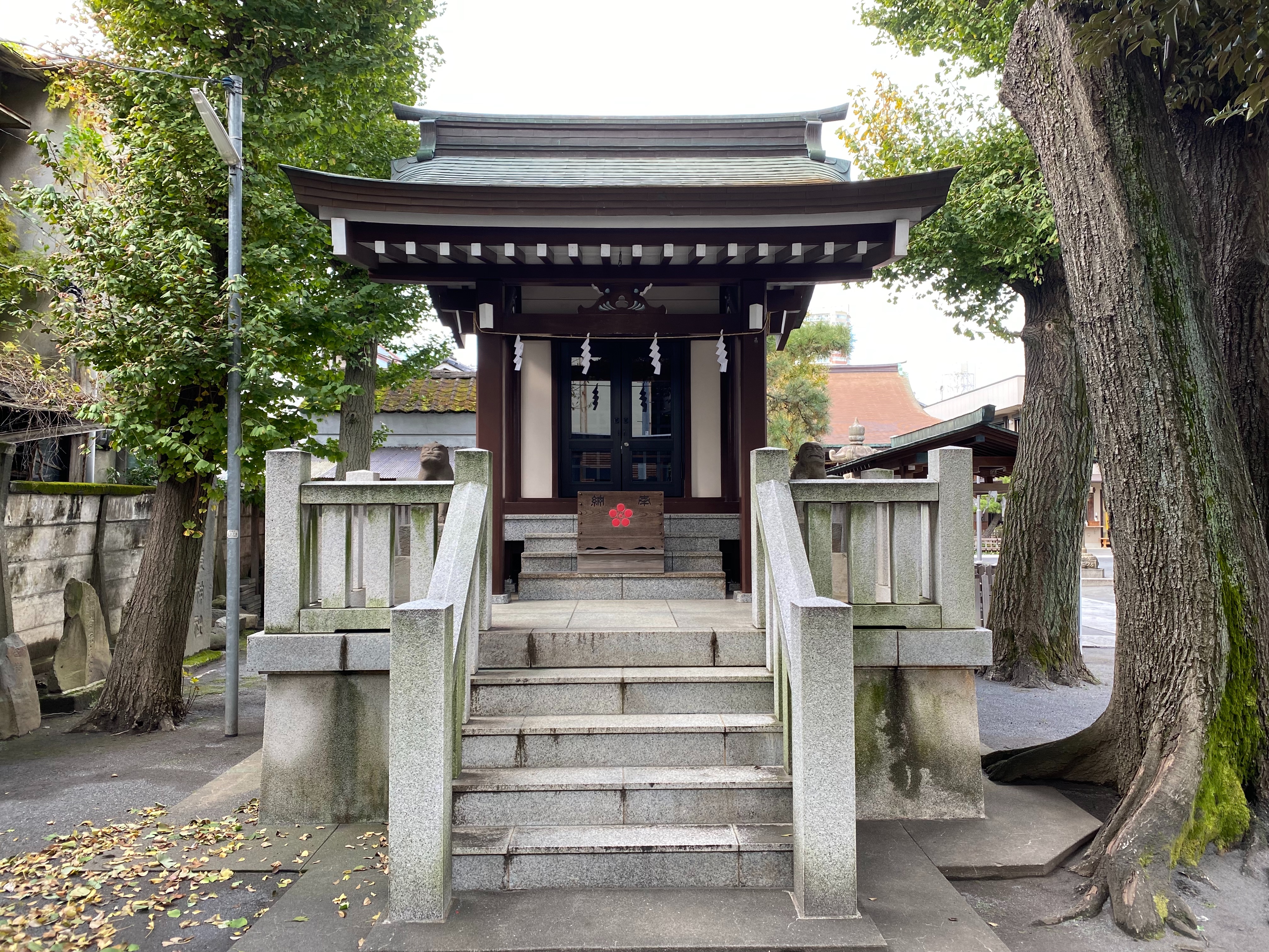 f:id:yoyorinrinyuyu:20211123171654j:image