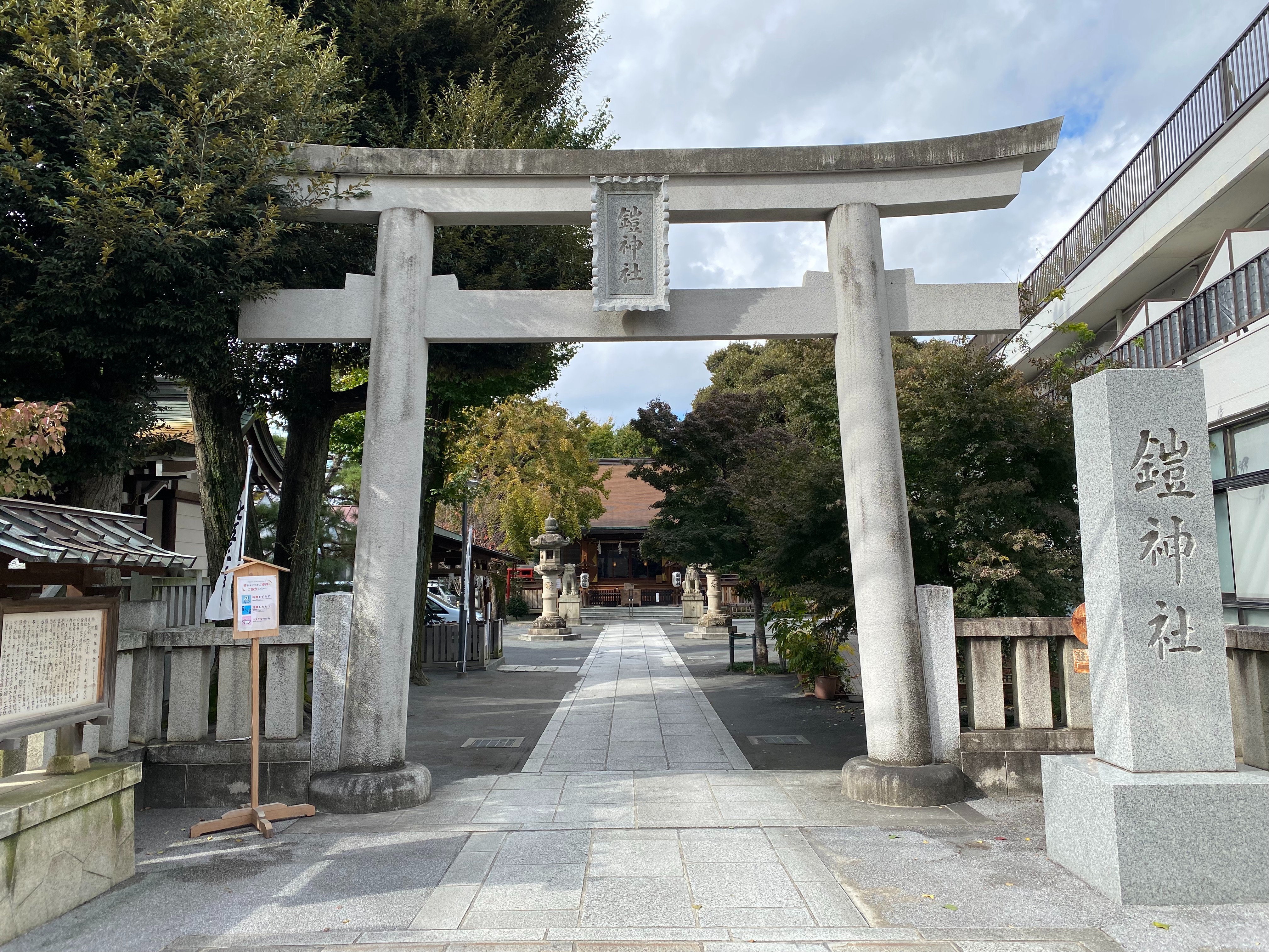 f:id:yoyorinrinyuyu:20211123171754j:image