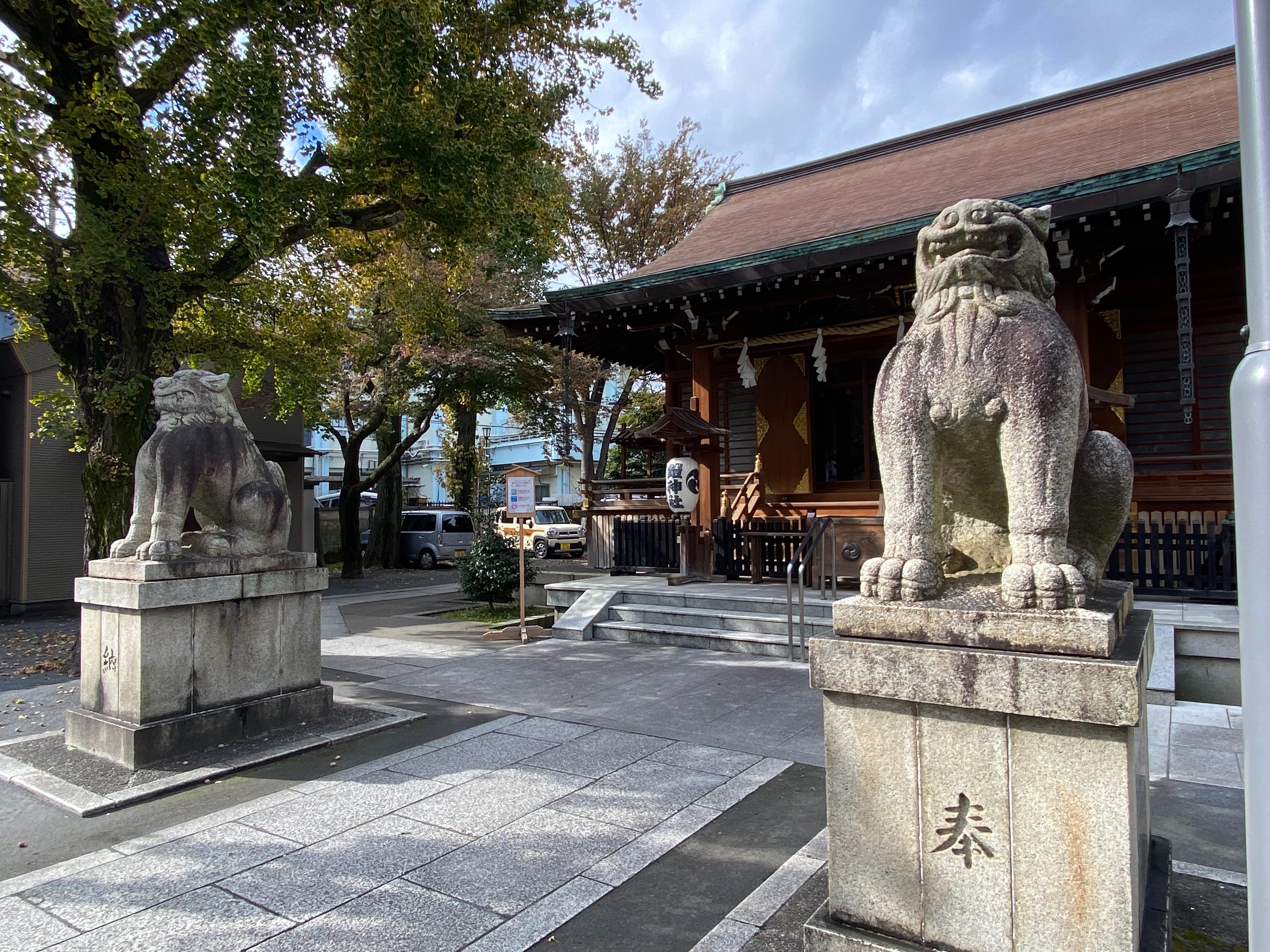 f:id:yoyorinrinyuyu:20211123171805j:image