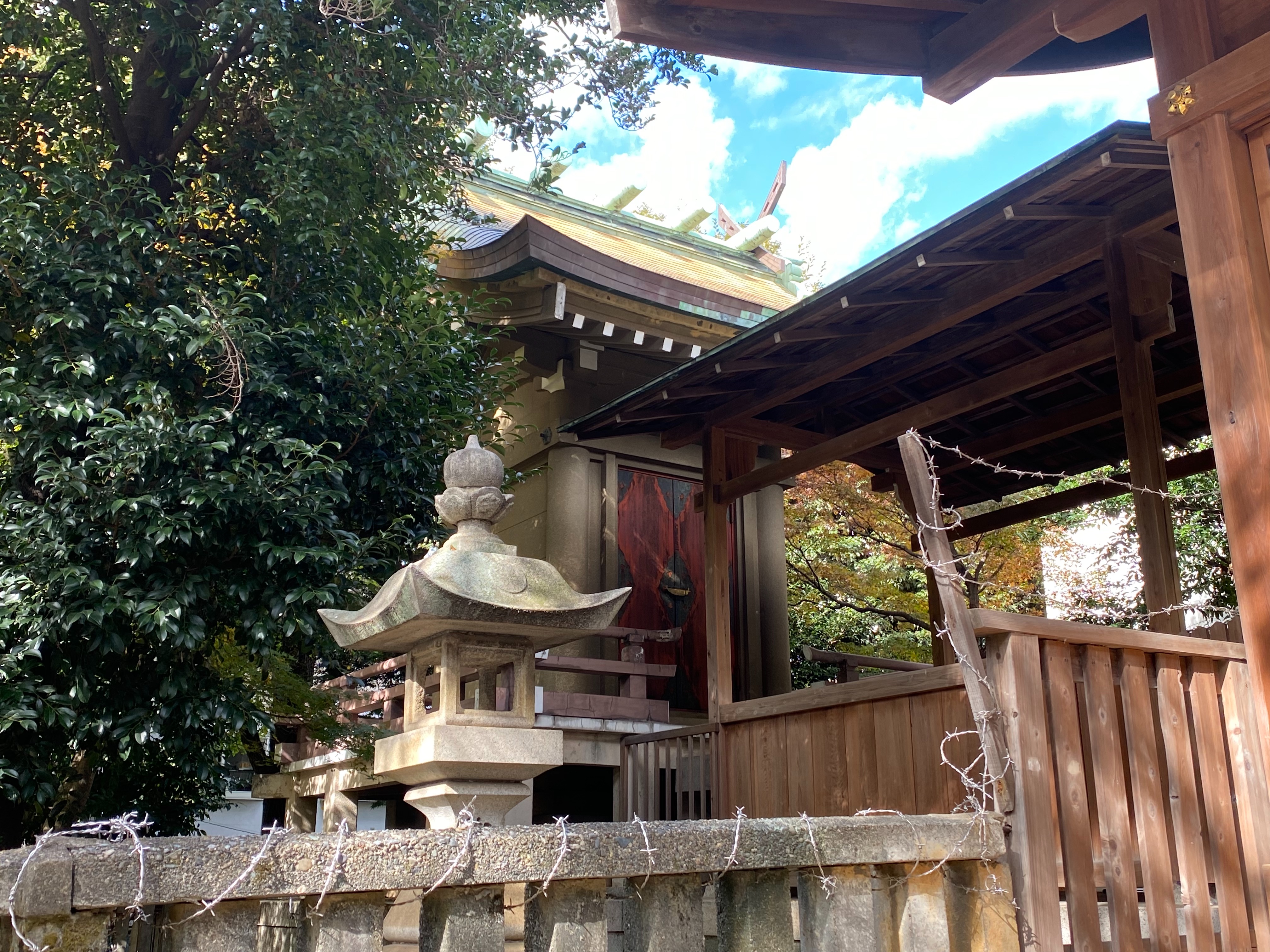 f:id:yoyorinrinyuyu:20211123171815j:image