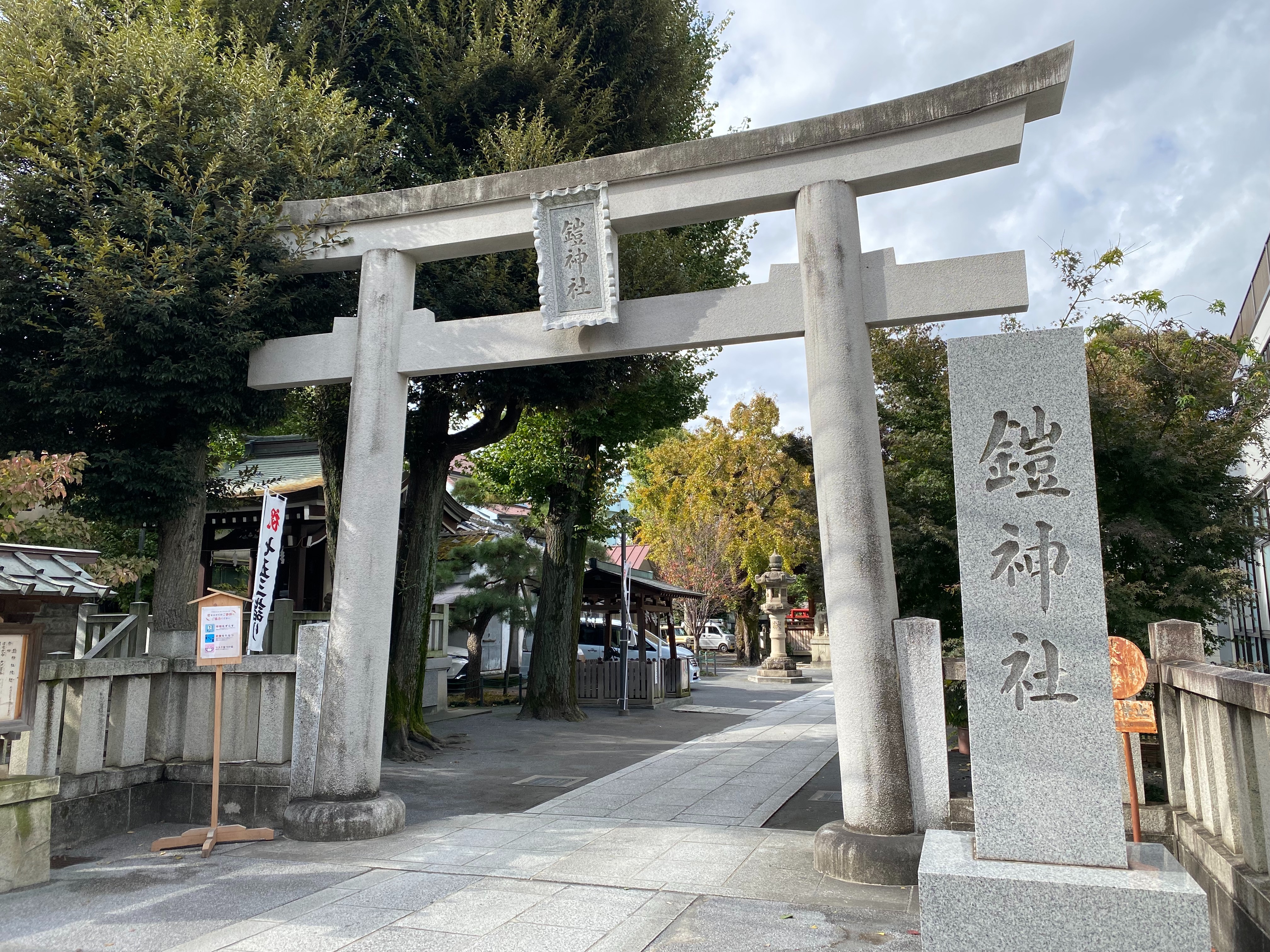 f:id:yoyorinrinyuyu:20211123171826j:image