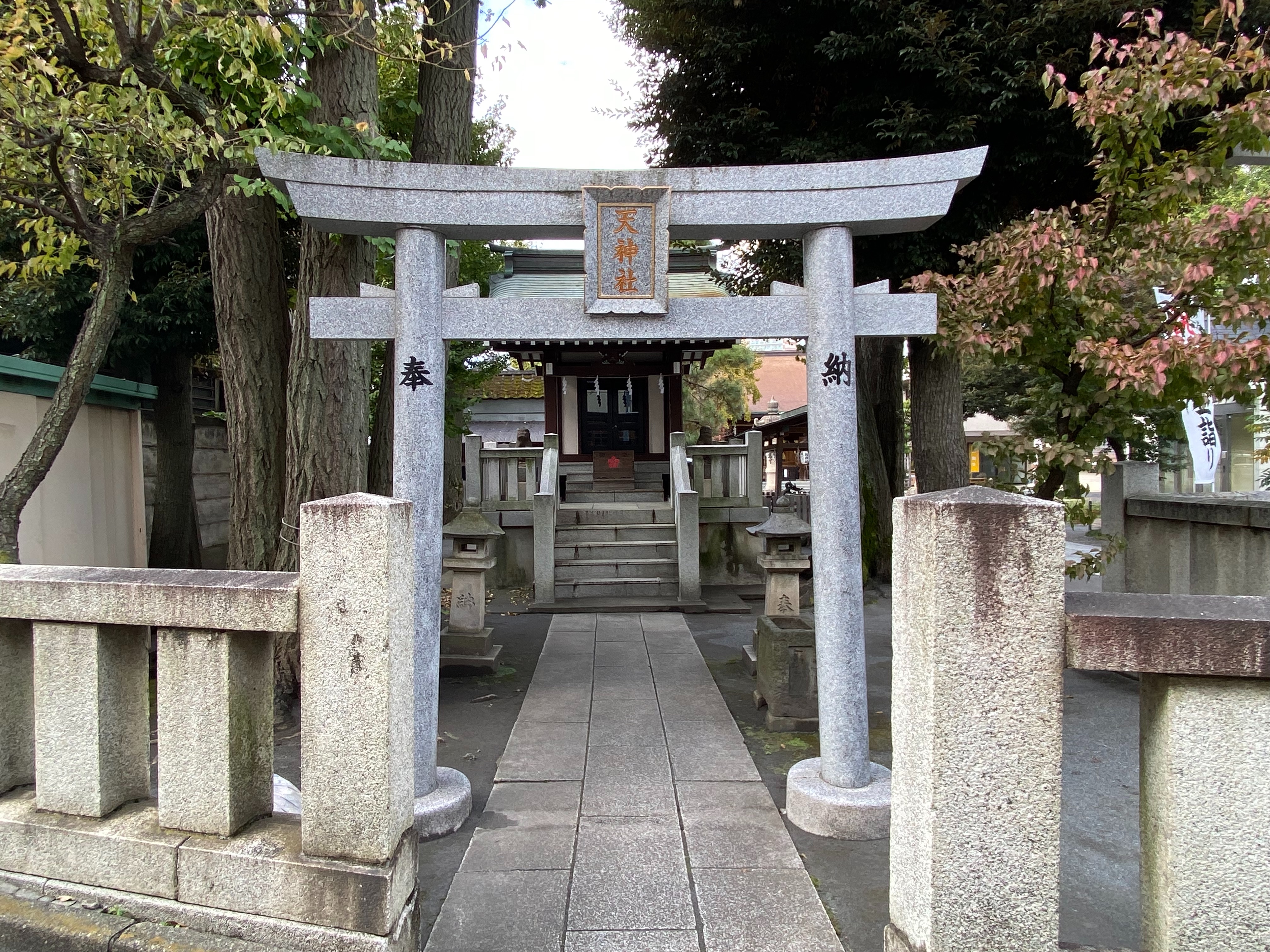 f:id:yoyorinrinyuyu:20211123171859j:image