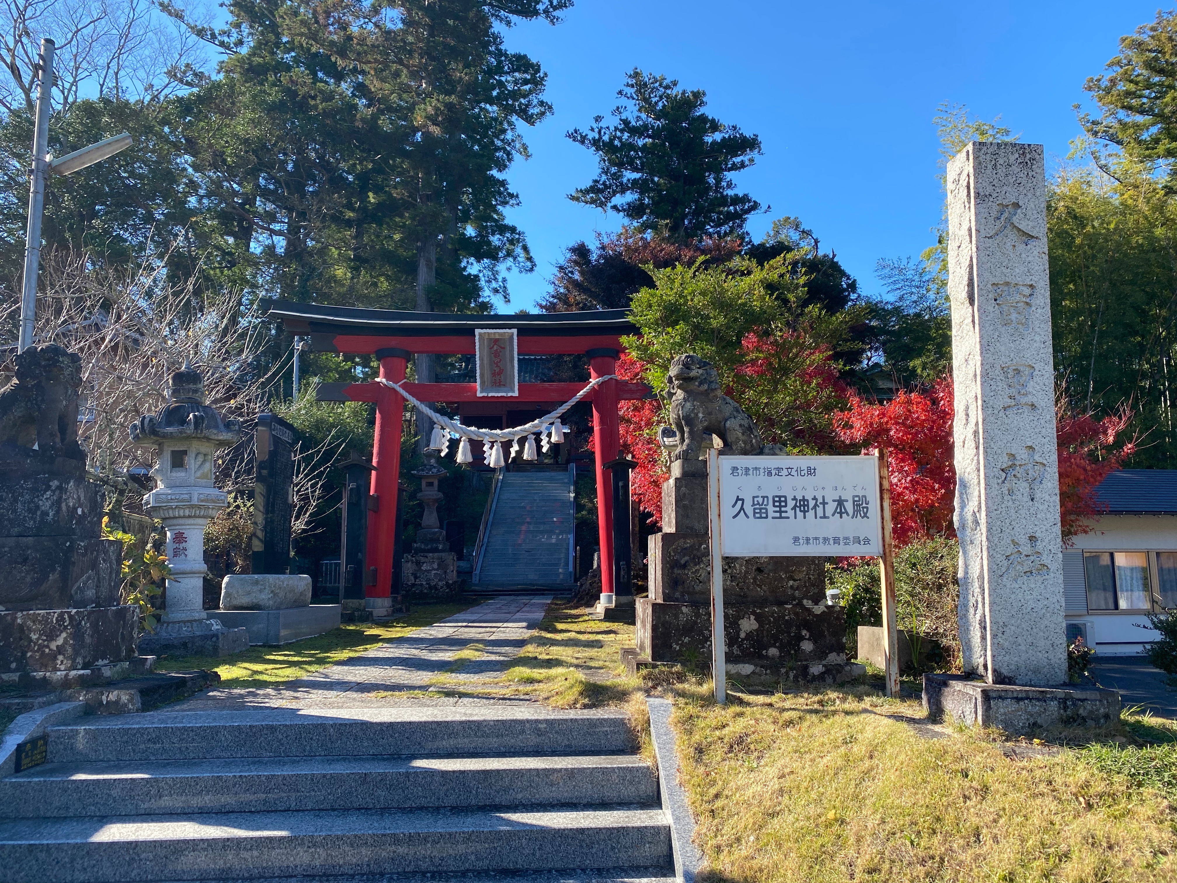 f:id:yoyorinrinyuyu:20211129130221j:image