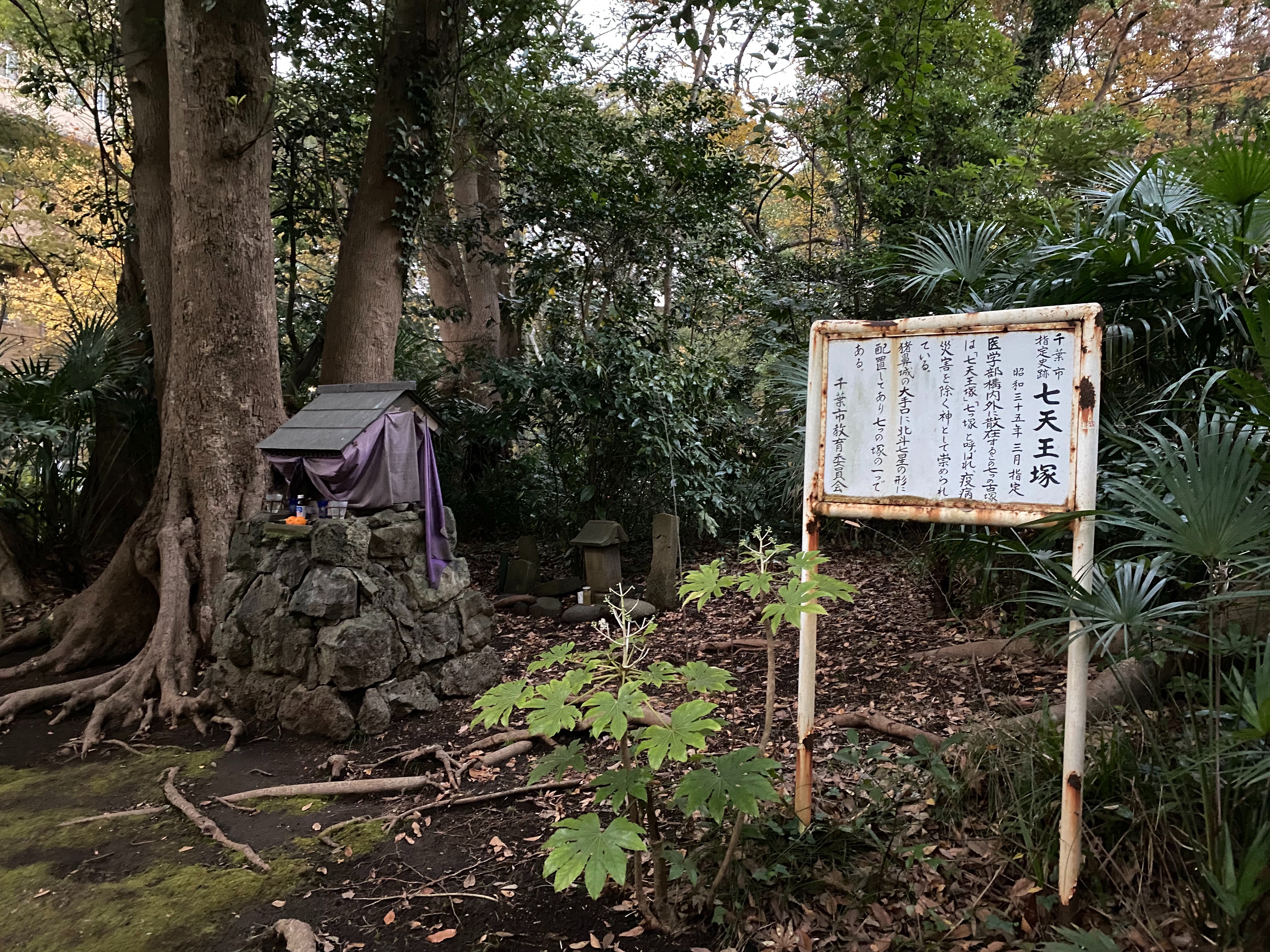 f:id:yoyorinrinyuyu:20211216205343j:image