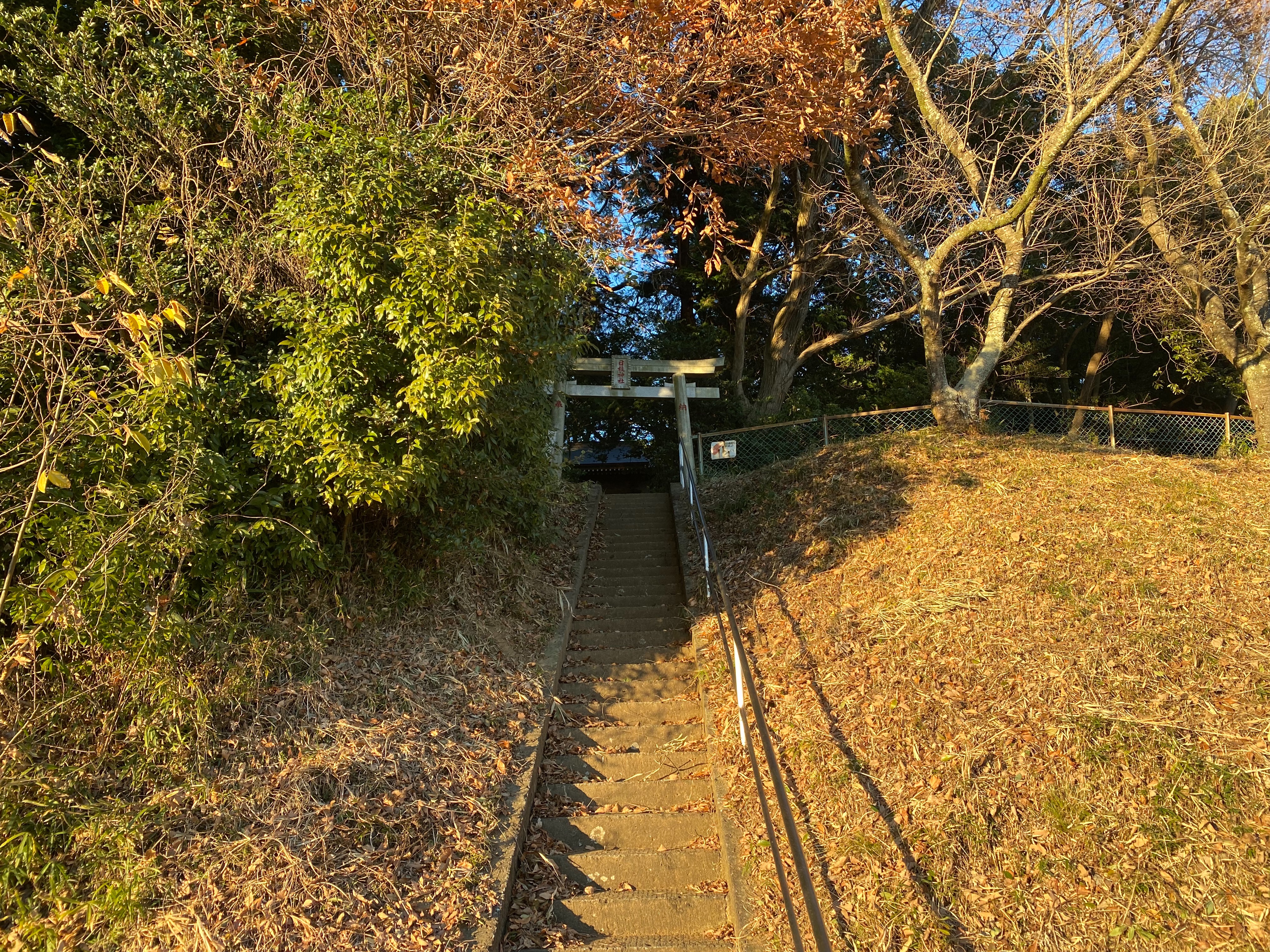 f:id:yoyorinrinyuyu:20211219153204j:plain