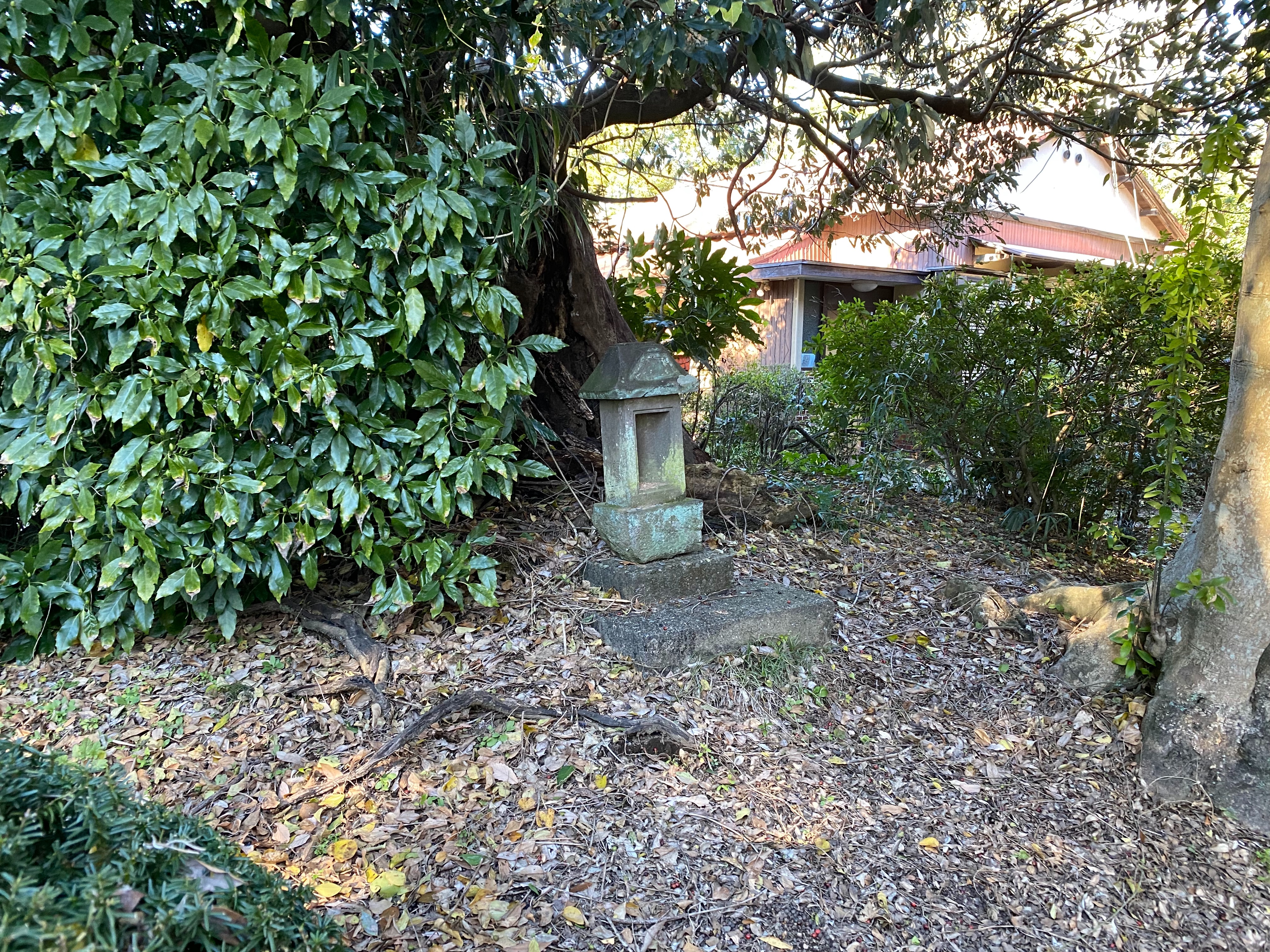 f:id:yoyorinrinyuyu:20211219161839j:image