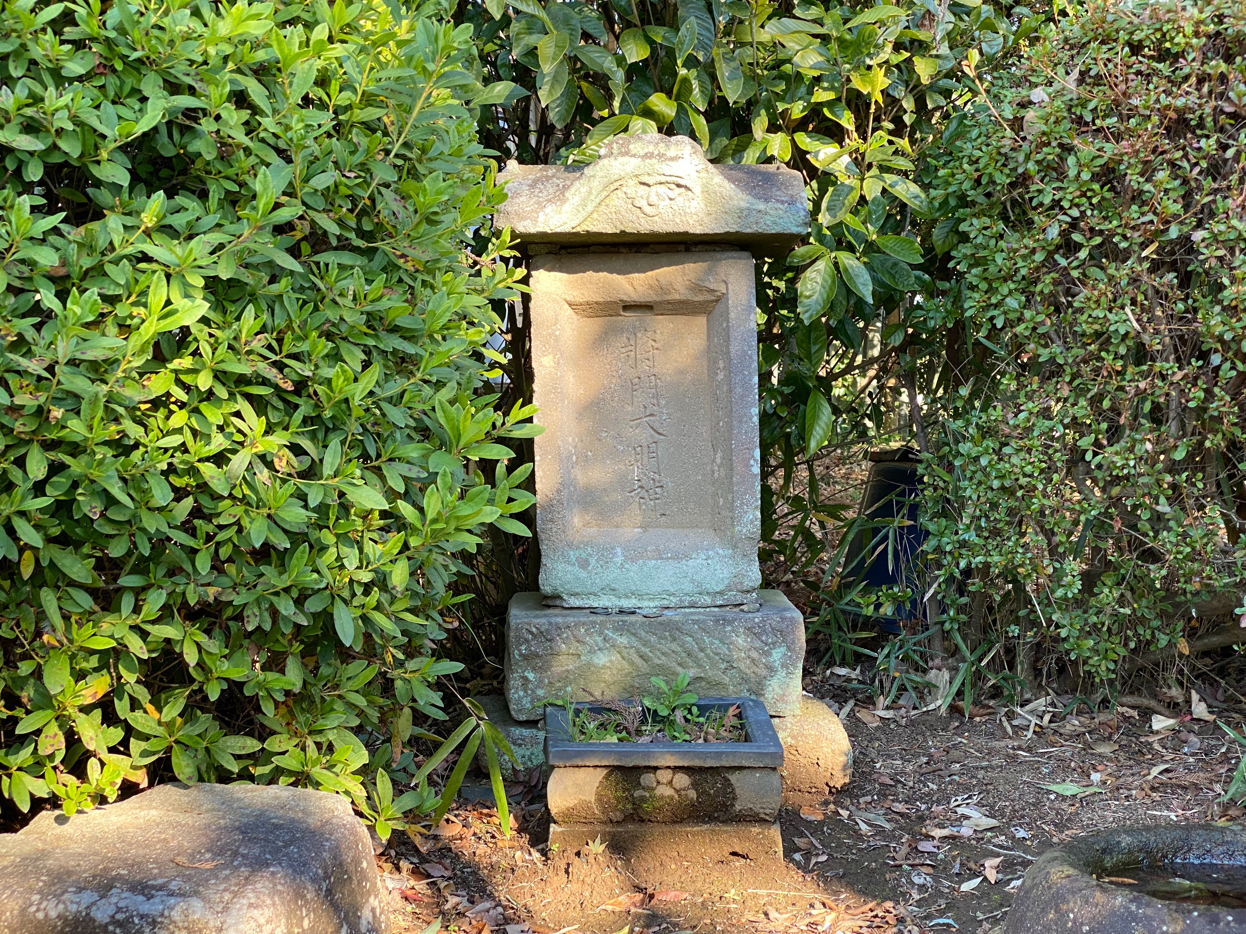 f:id:yoyorinrinyuyu:20211219161856j:image