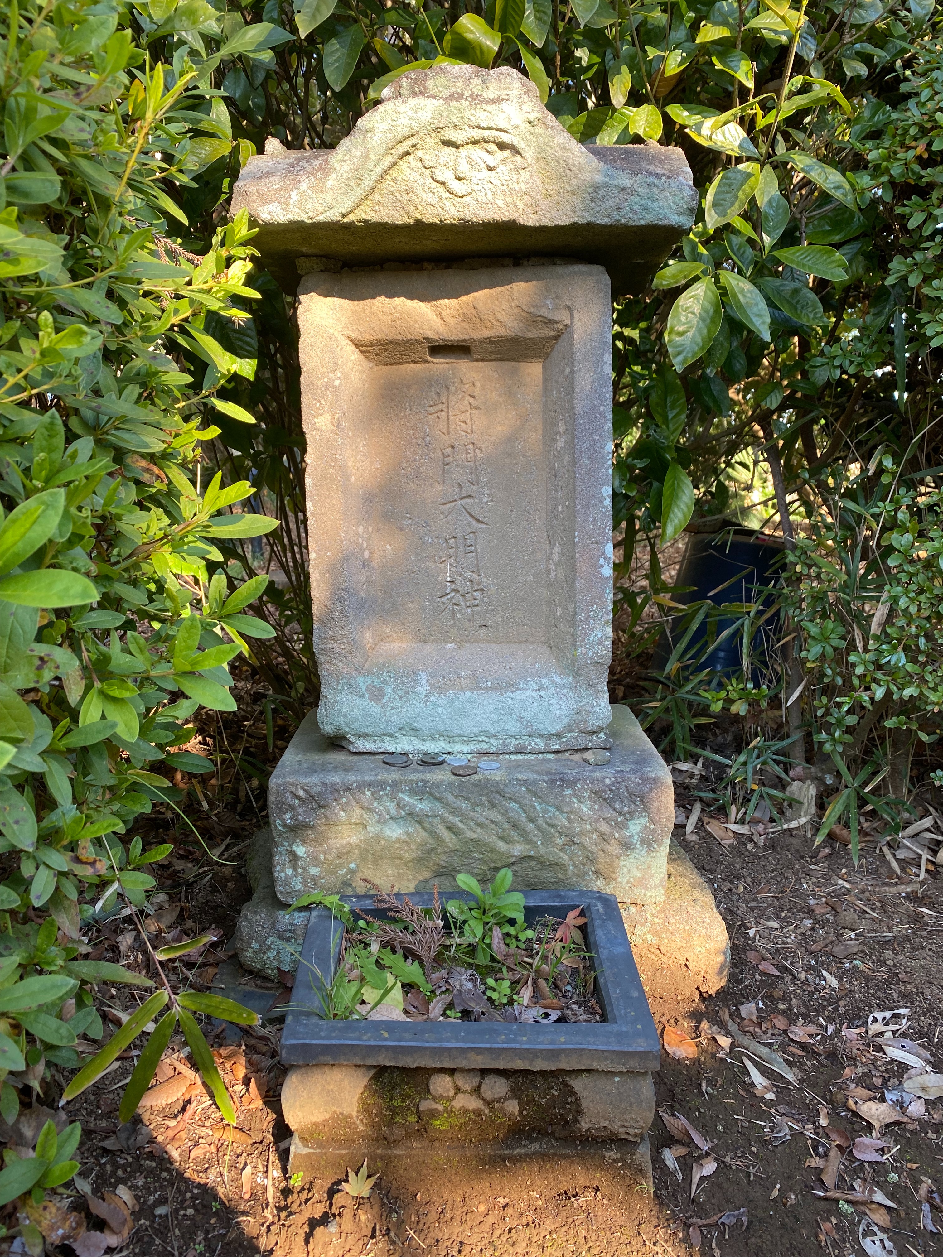 f:id:yoyorinrinyuyu:20211219161935j:image