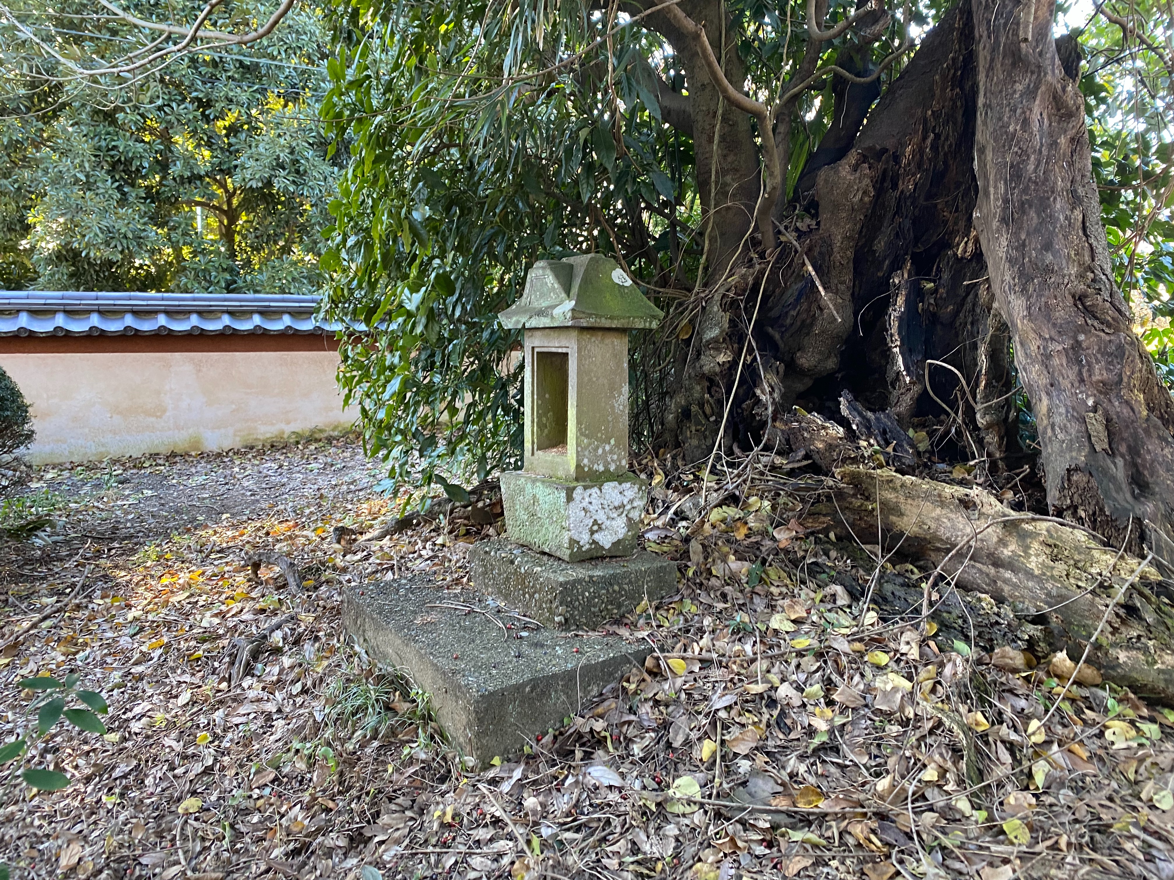 f:id:yoyorinrinyuyu:20211219161945j:image