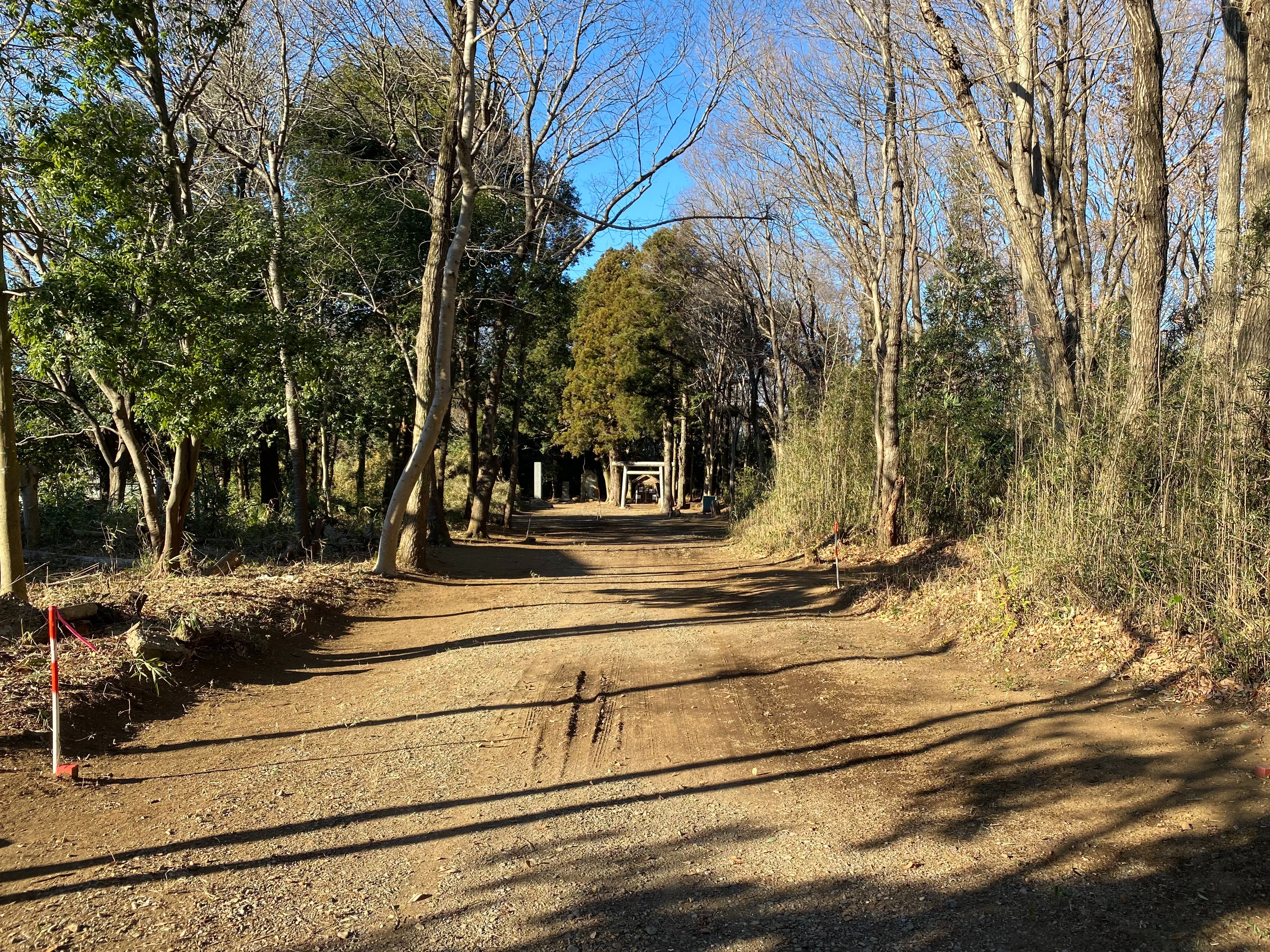 f:id:yoyorinrinyuyu:20211229212535j:image