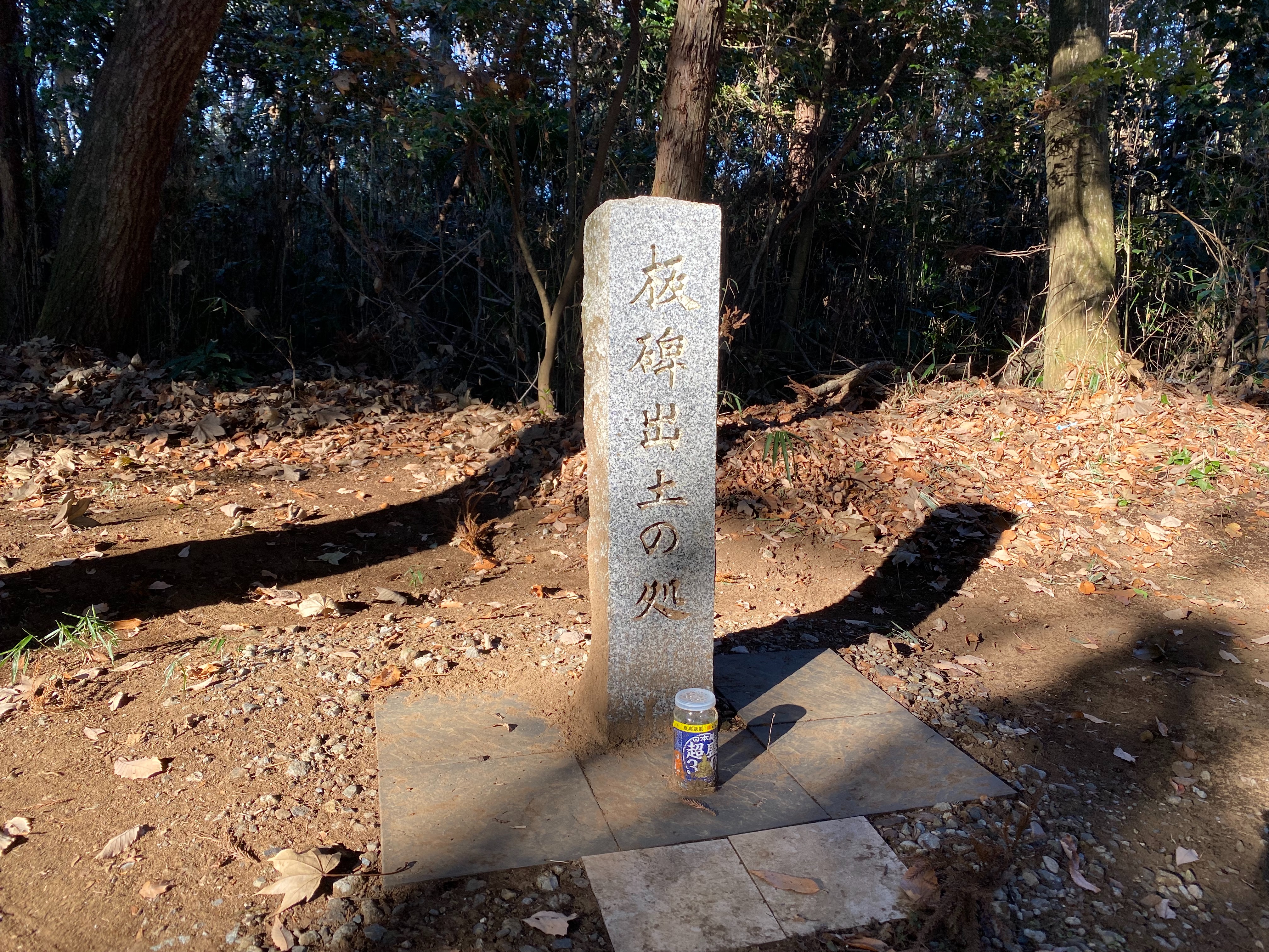 f:id:yoyorinrinyuyu:20211229212601j:image