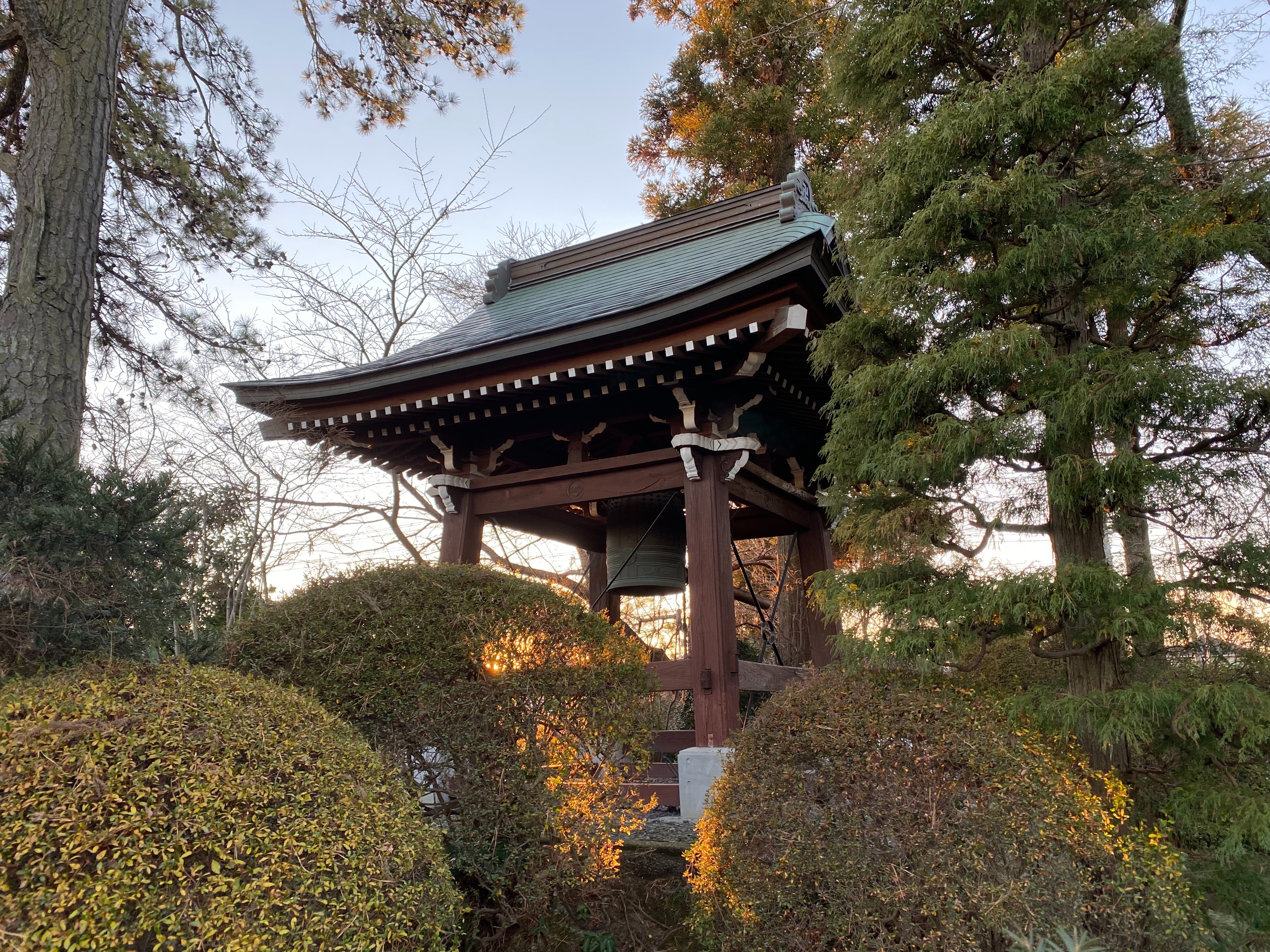 f:id:yoyorinrinyuyu:20211229214417j:plain