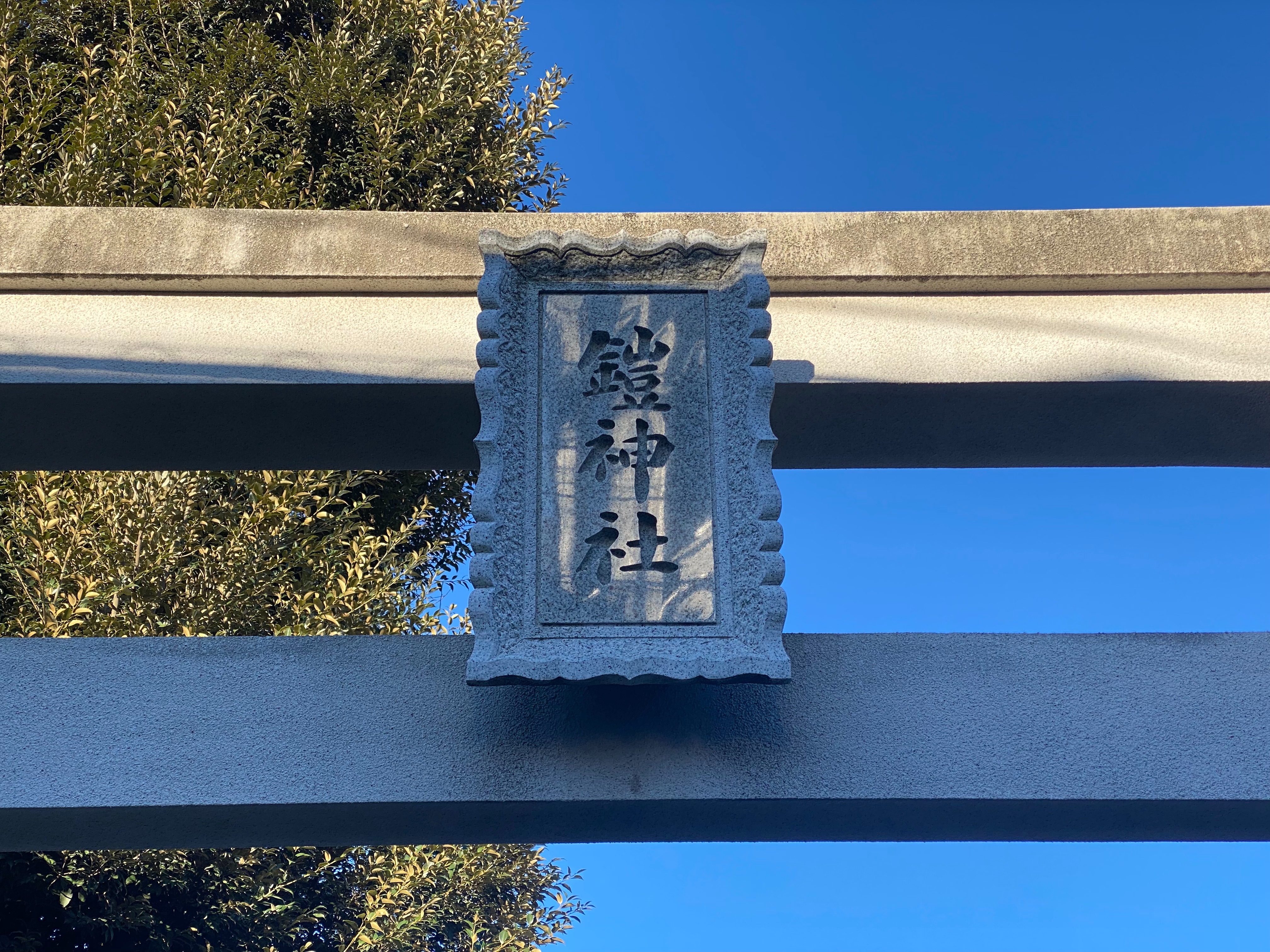 f:id:yoyorinrinyuyu:20220102123553j:image