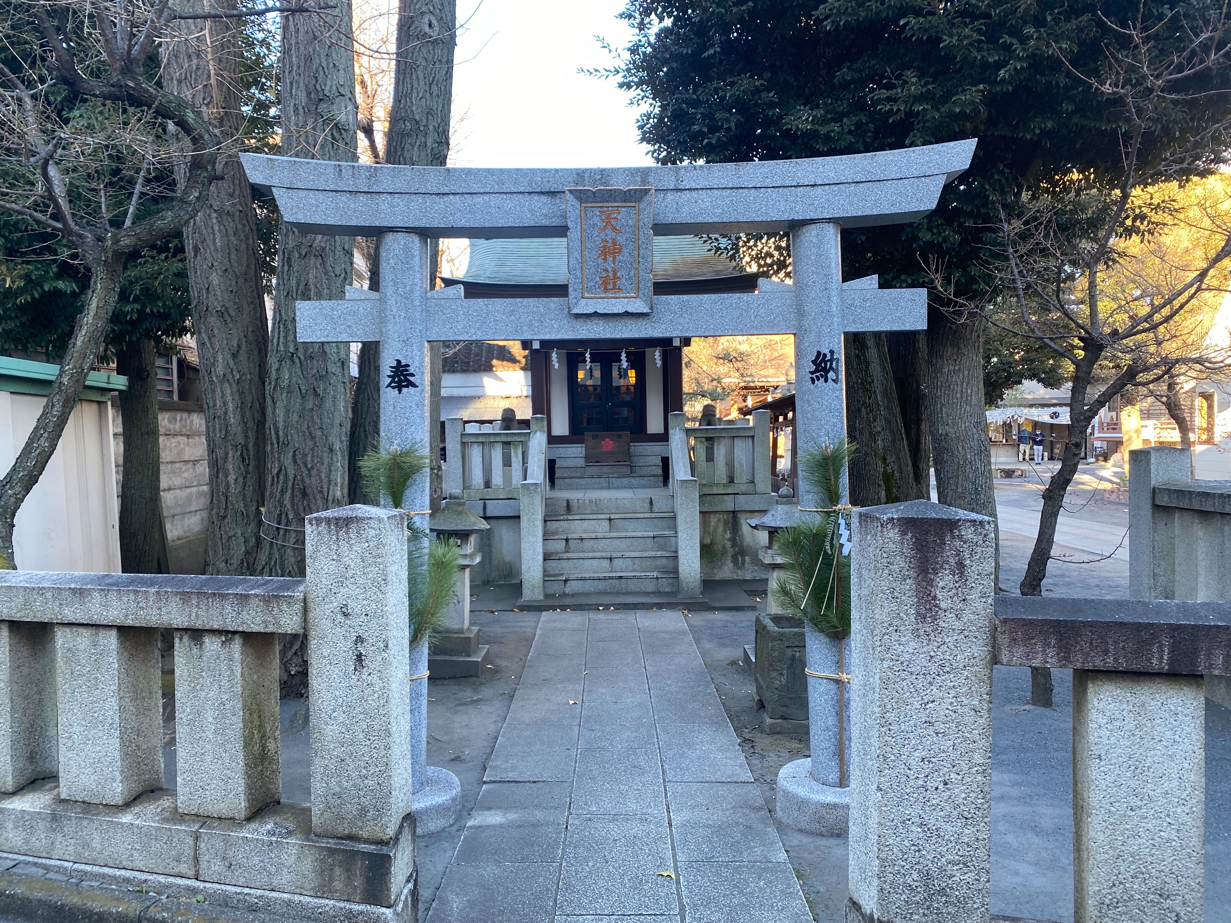 f:id:yoyorinrinyuyu:20220102123607j:image