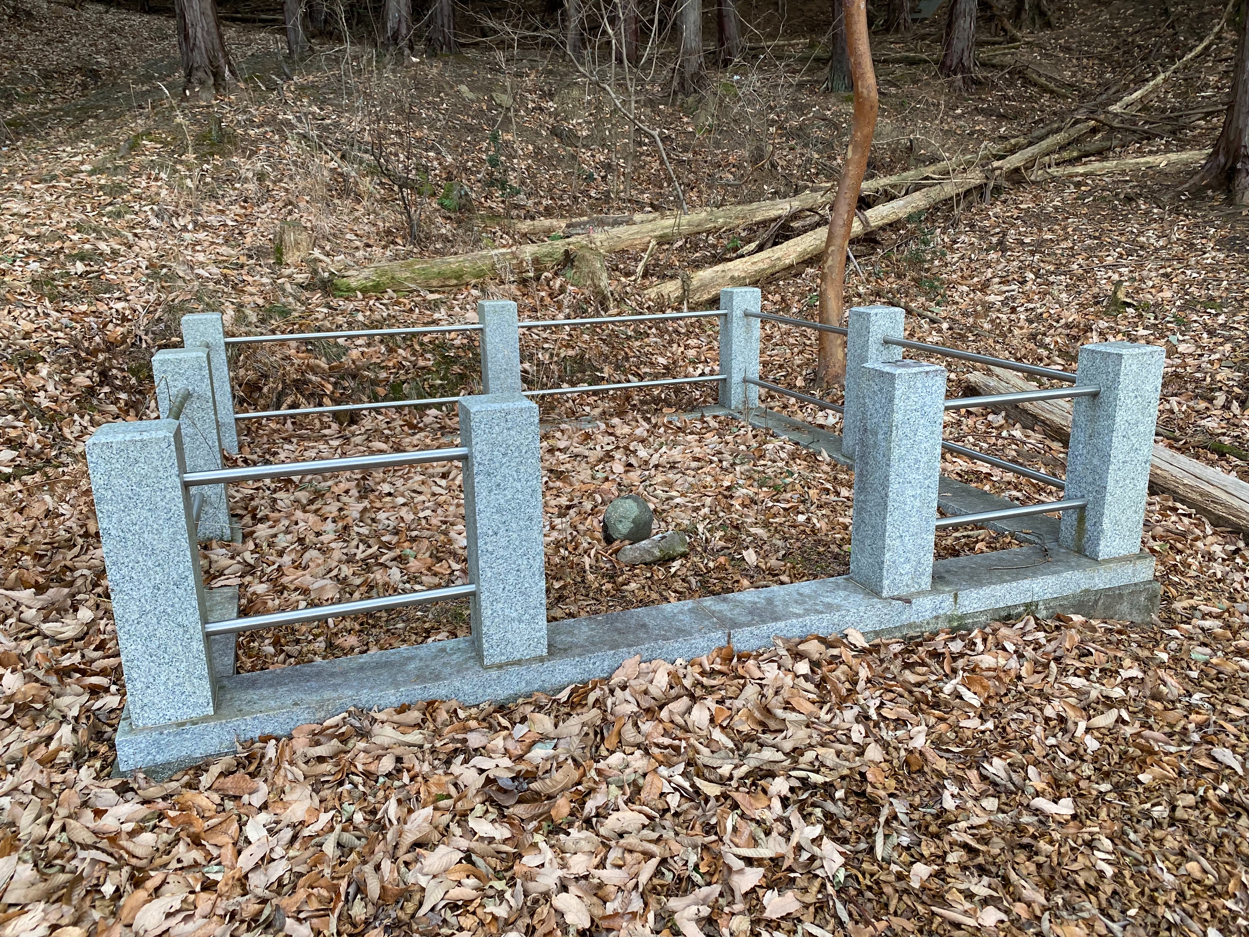 f:id:yoyorinrinyuyu:20220104083539j:image