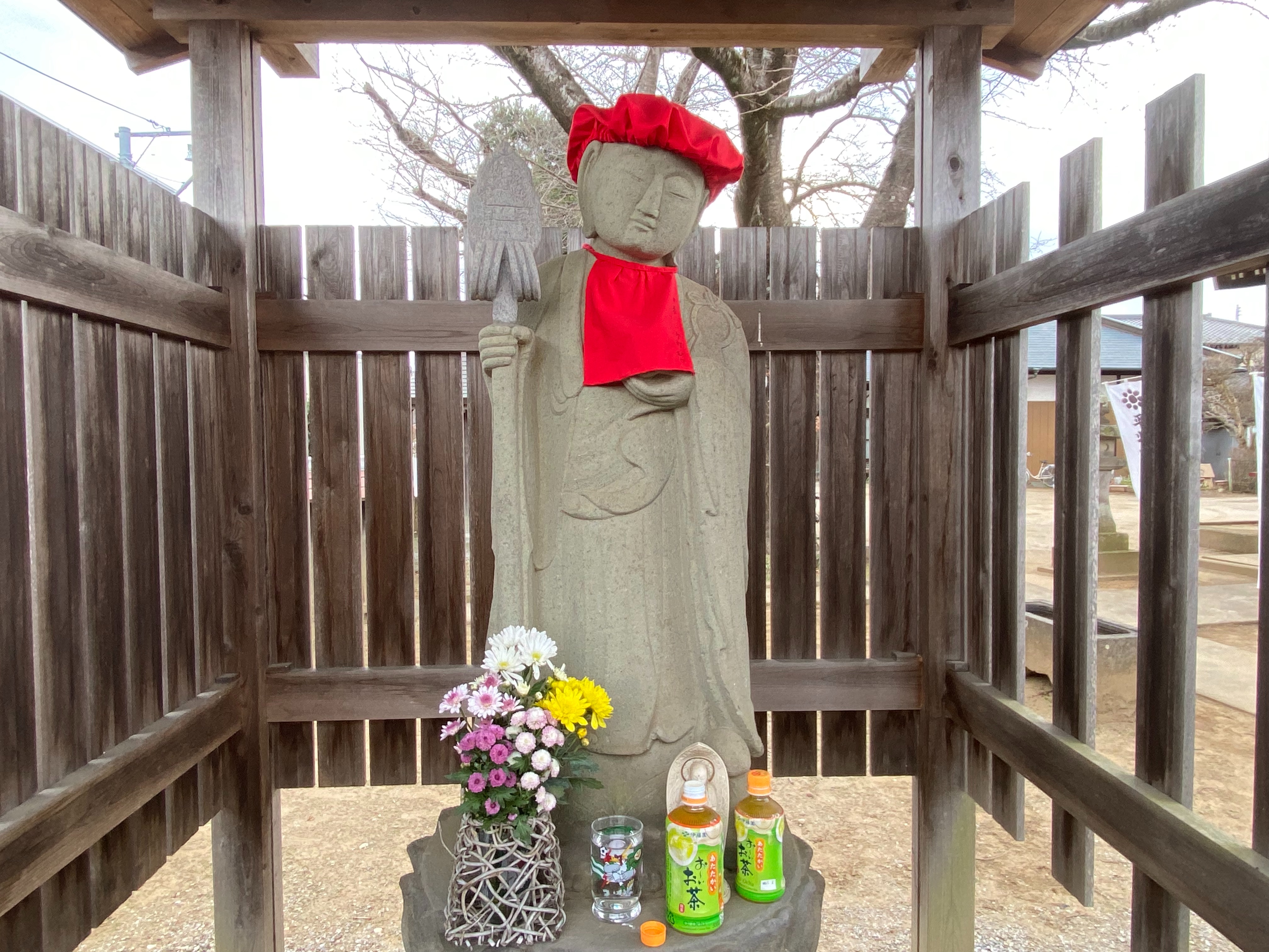 f:id:yoyorinrinyuyu:20220131085411j:image f:id:yoyorinrinyuyu:20220131085411j:image