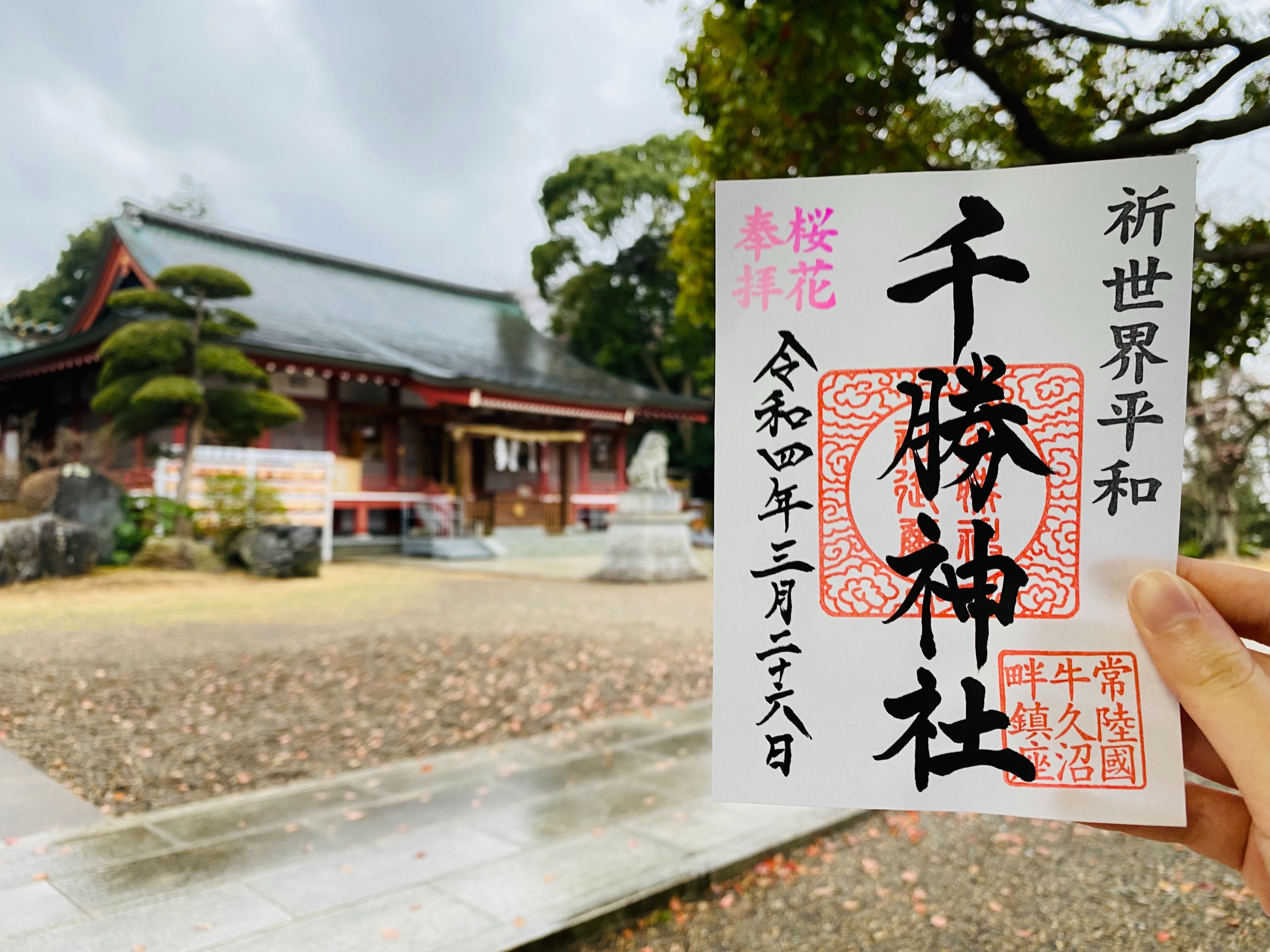 f:id:yoyorinrinyuyu:20220327185108j:image