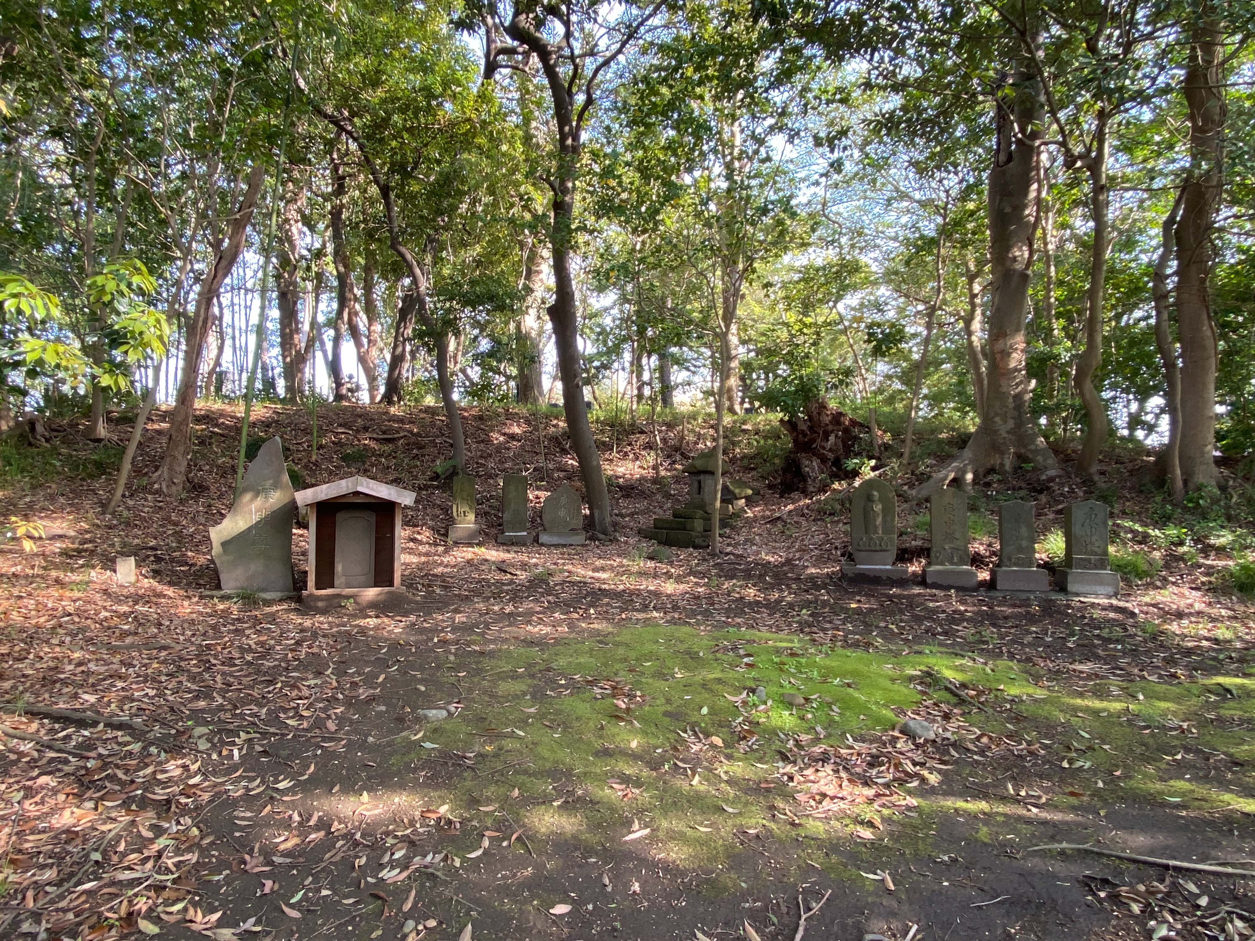 f:id:yoyorinrinyuyu:20220417092659j:image